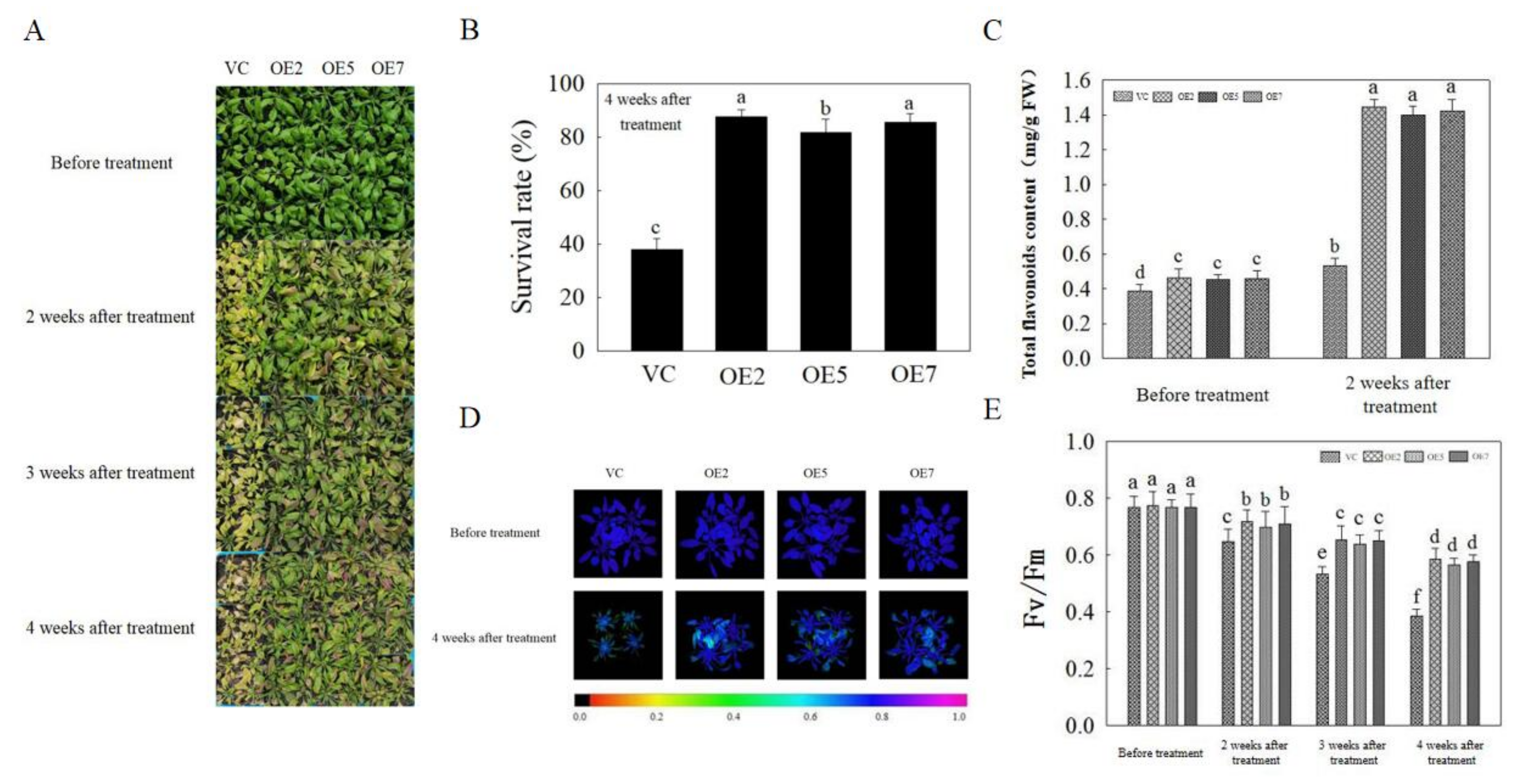 Ijms 22 11897 g007 550