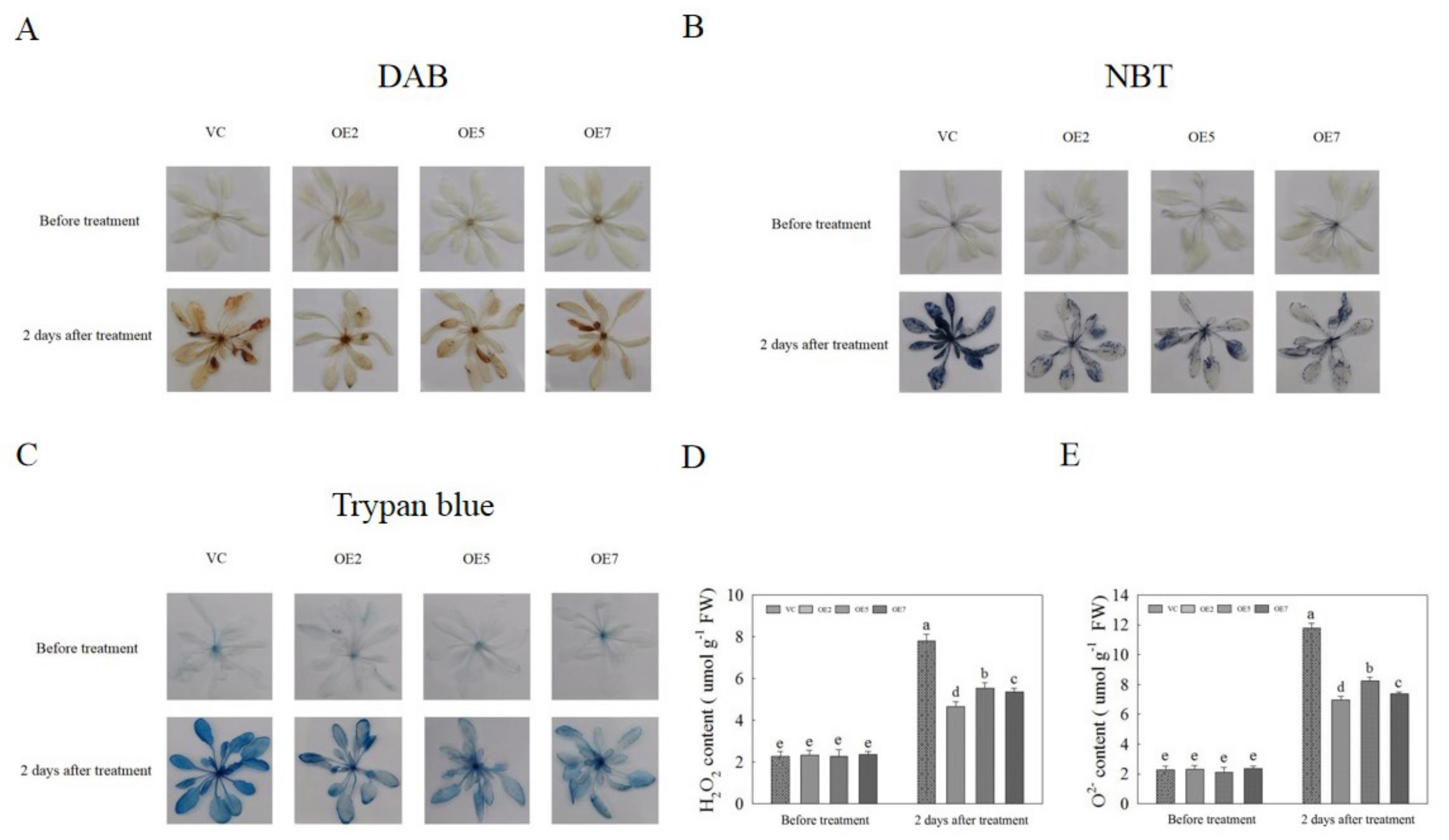 Ijms 22 11897 g008 550