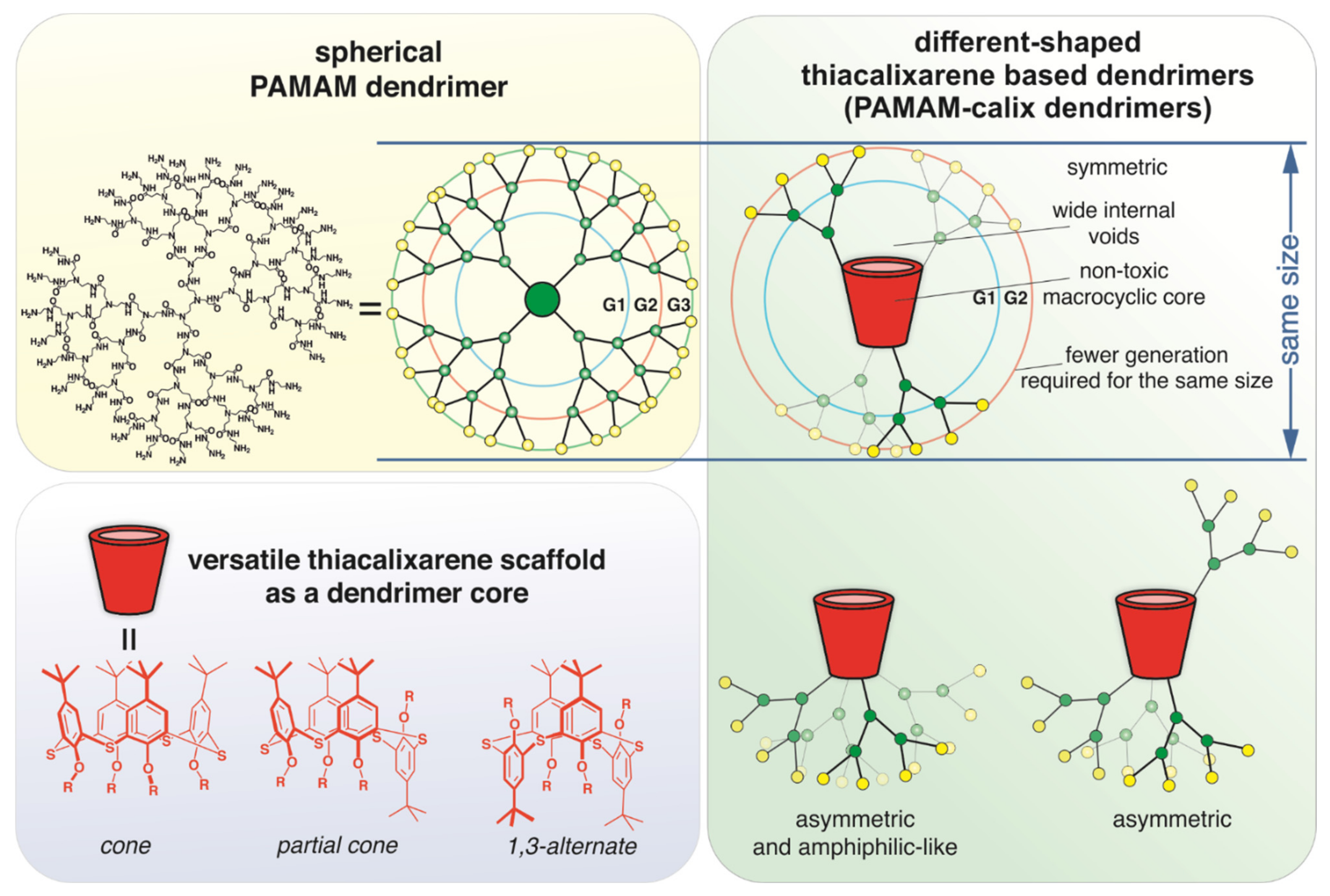 Ijms 22 11901 g001 Ijms 22 11901 g001