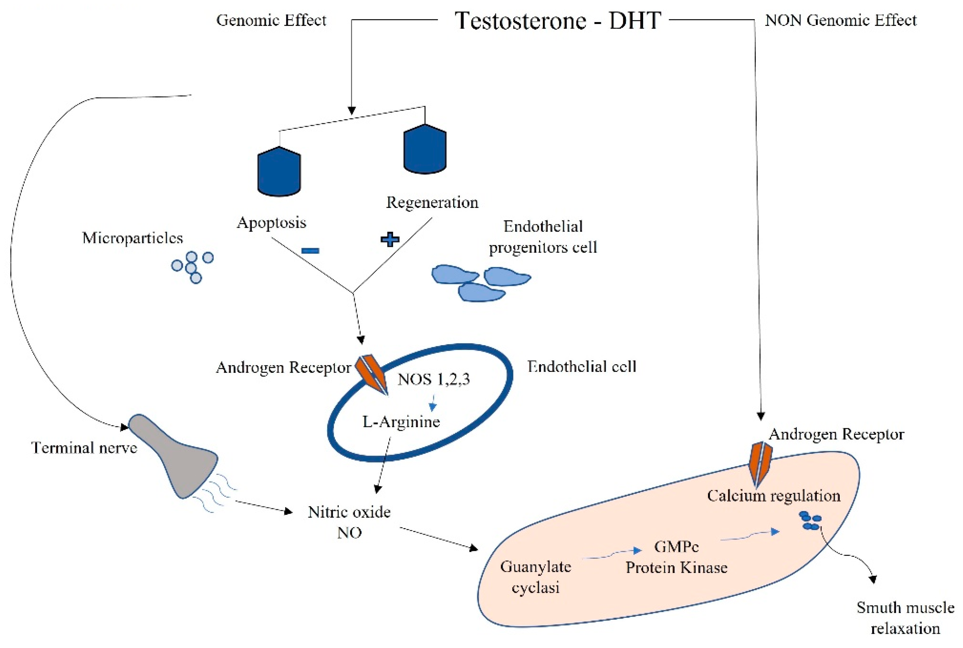 Ijms 22 11908 g002 Ijms 22 11908 g002