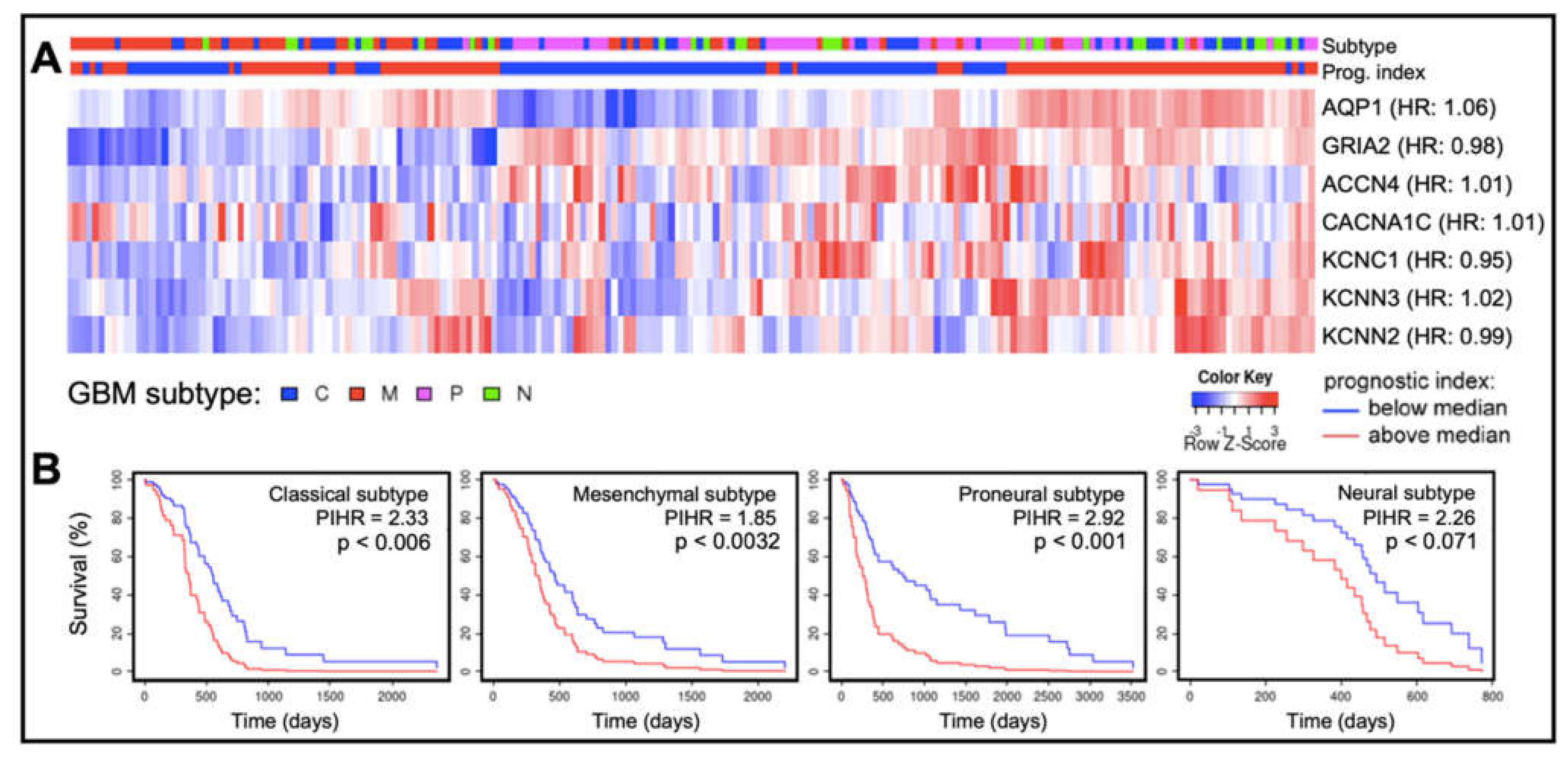 Ijms 22 11909 g004 Ijms 22 11909 g004