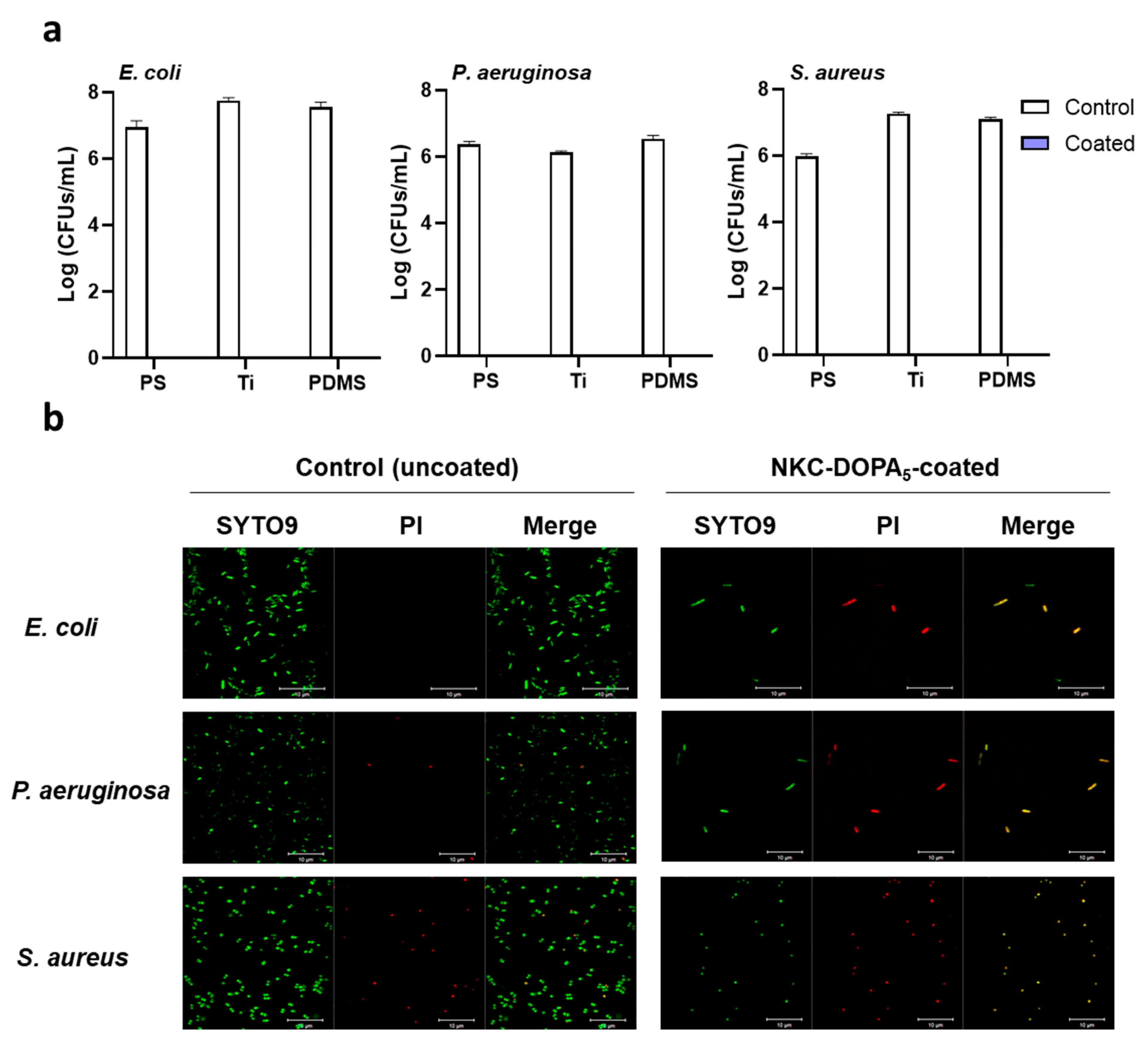 Ijms 22 11915 g004 550