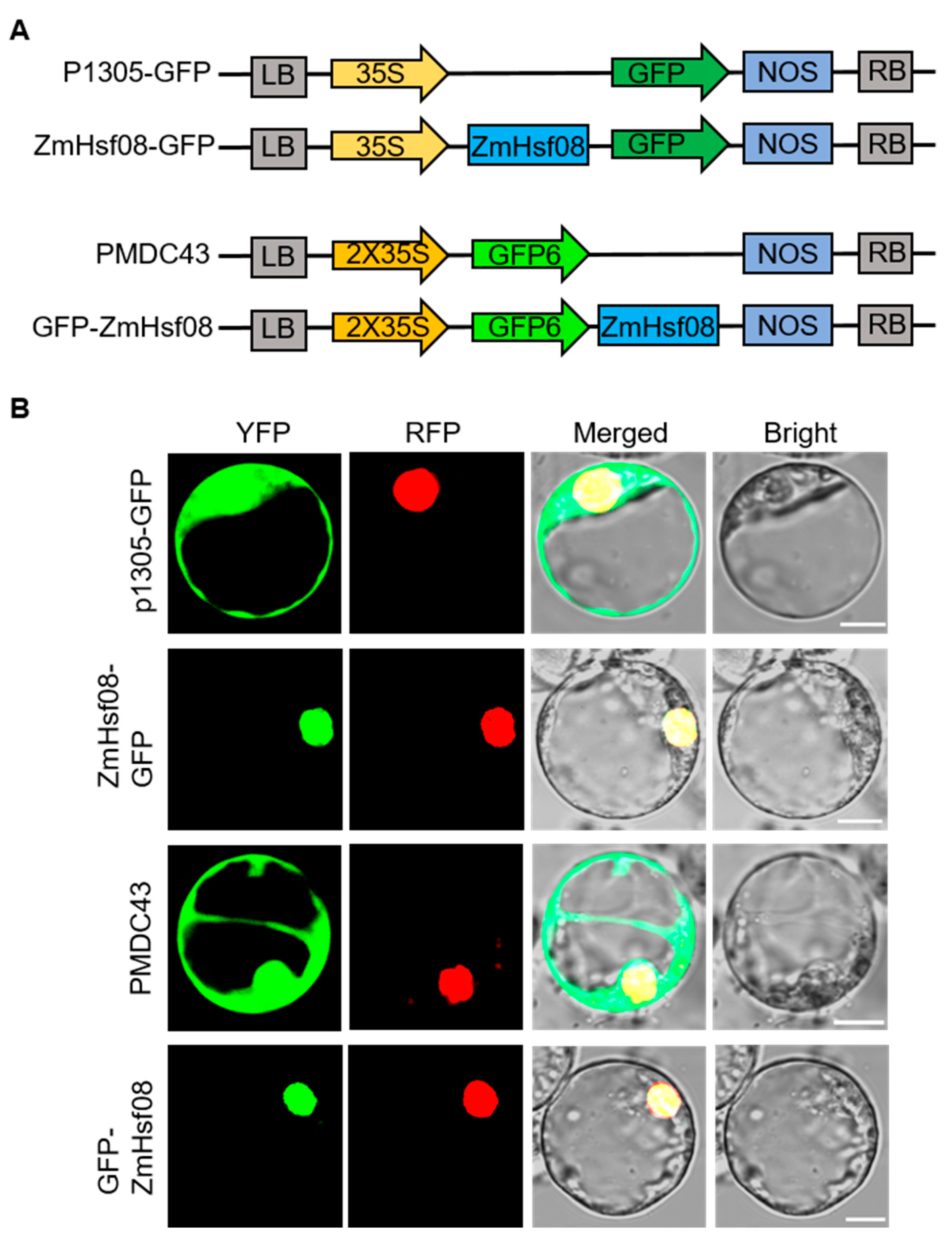 Ijms 22 11922 g002 550
