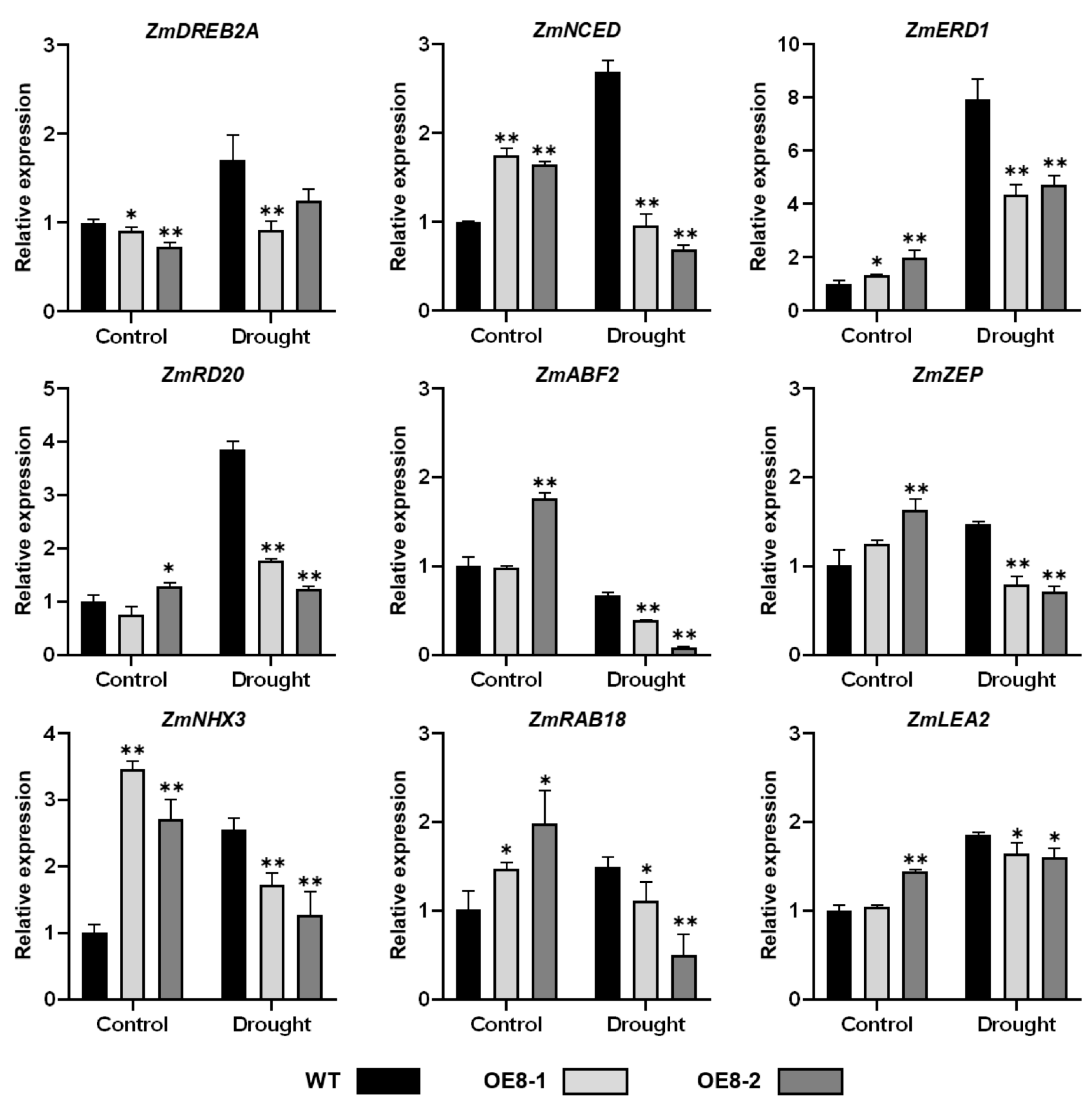 Ijms 22 11922 g007 550