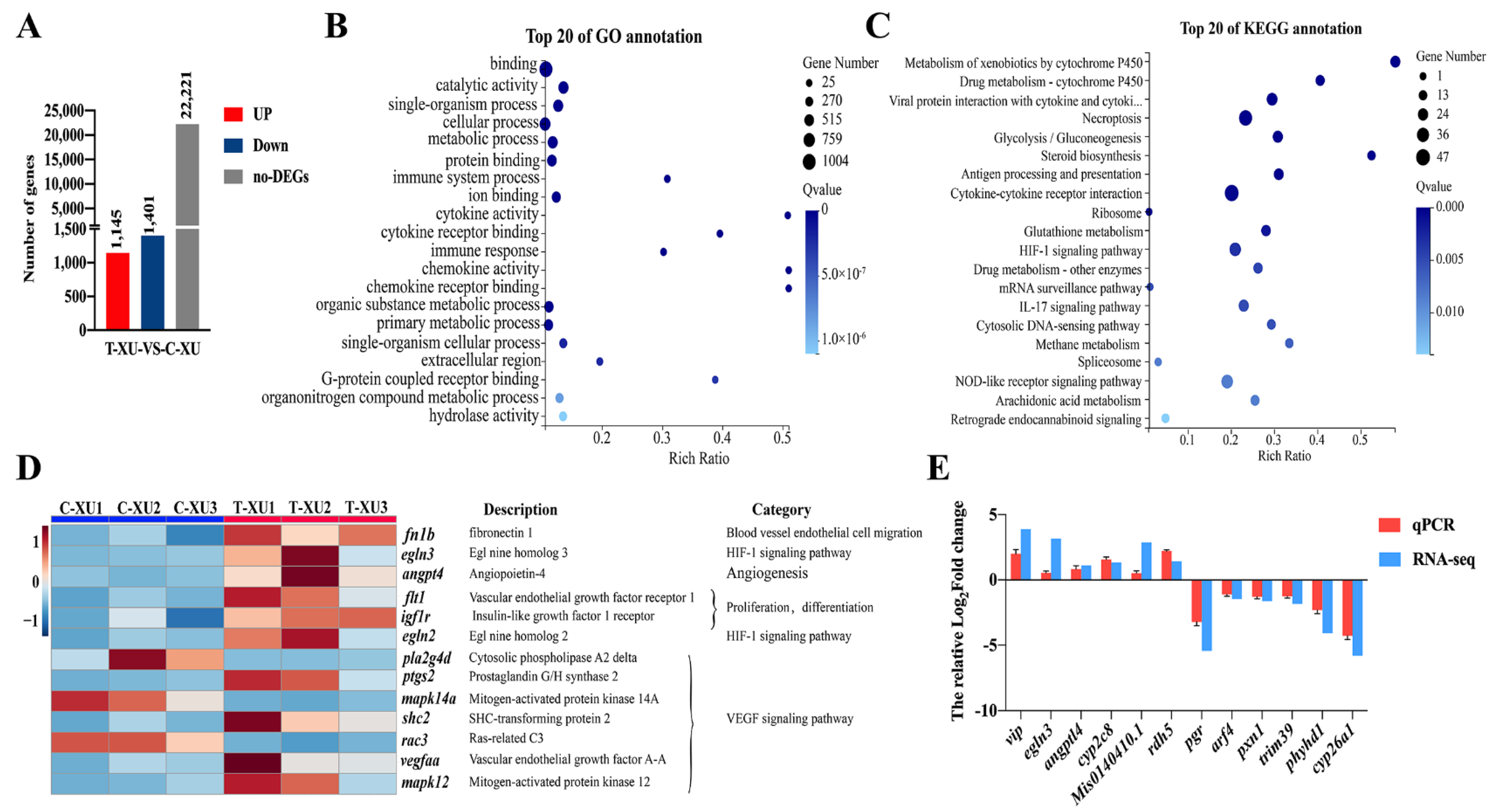 Ijms 22 11928 g004 550