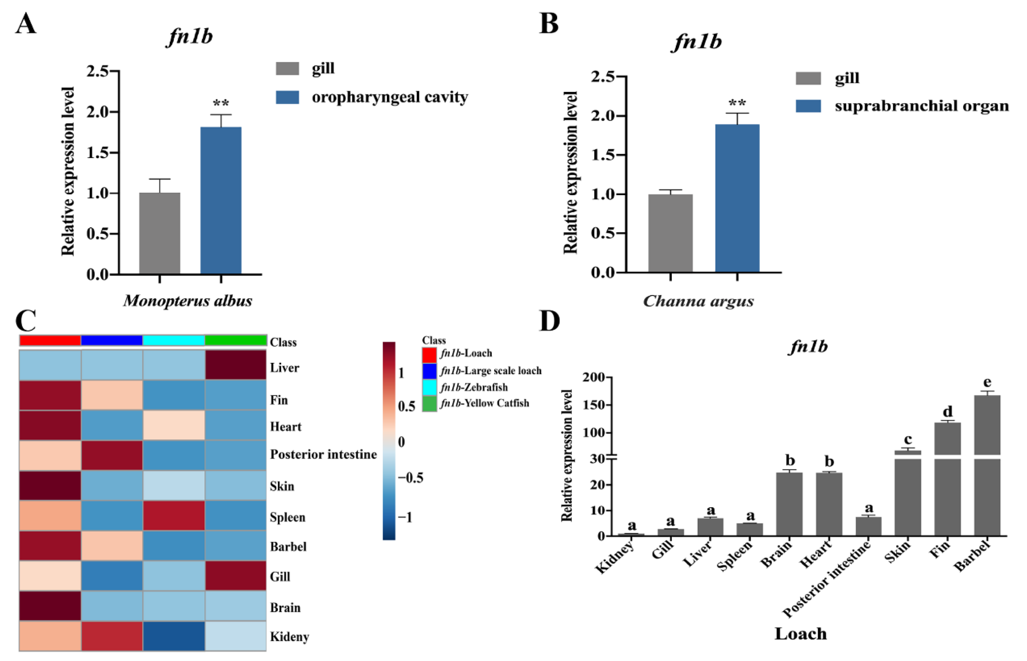 Ijms 22 11928 g005 550