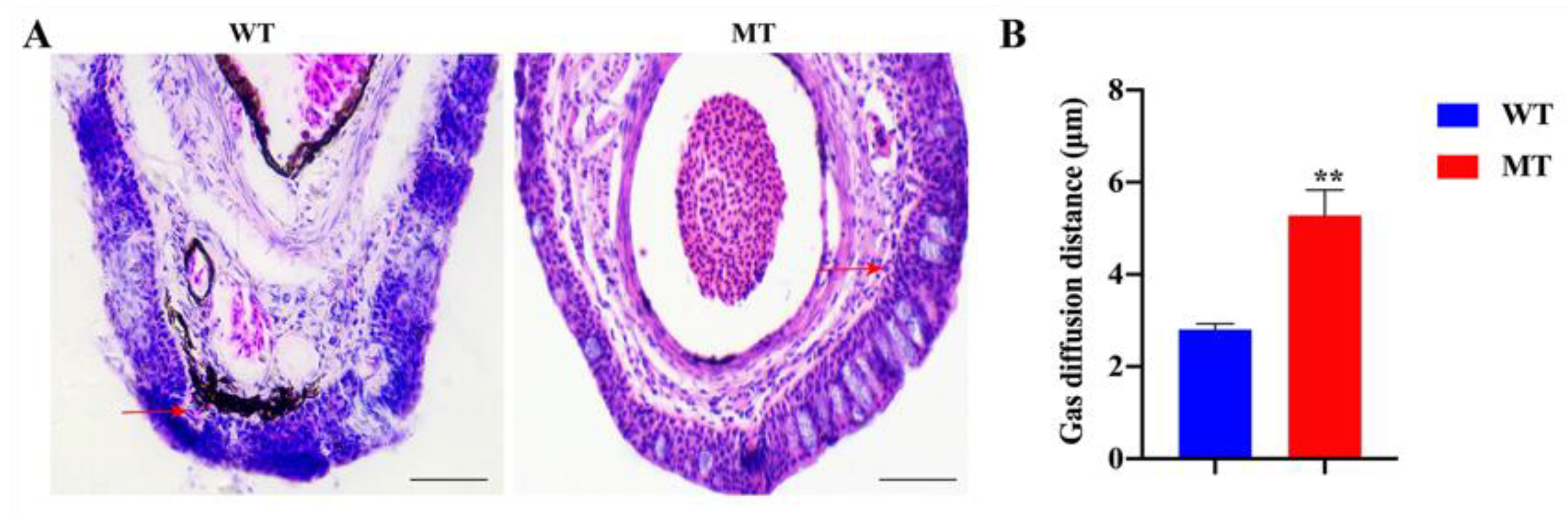 Ijms 22 11928 g007 550