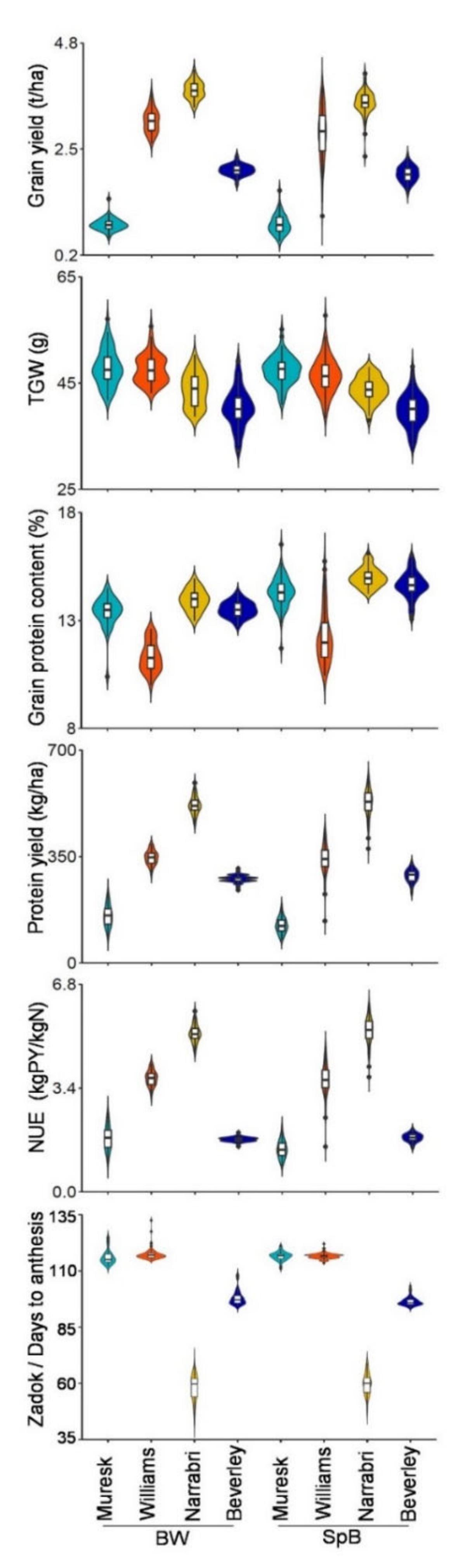 Ijms 22 11934 g002 Ijms 22 11934 g002