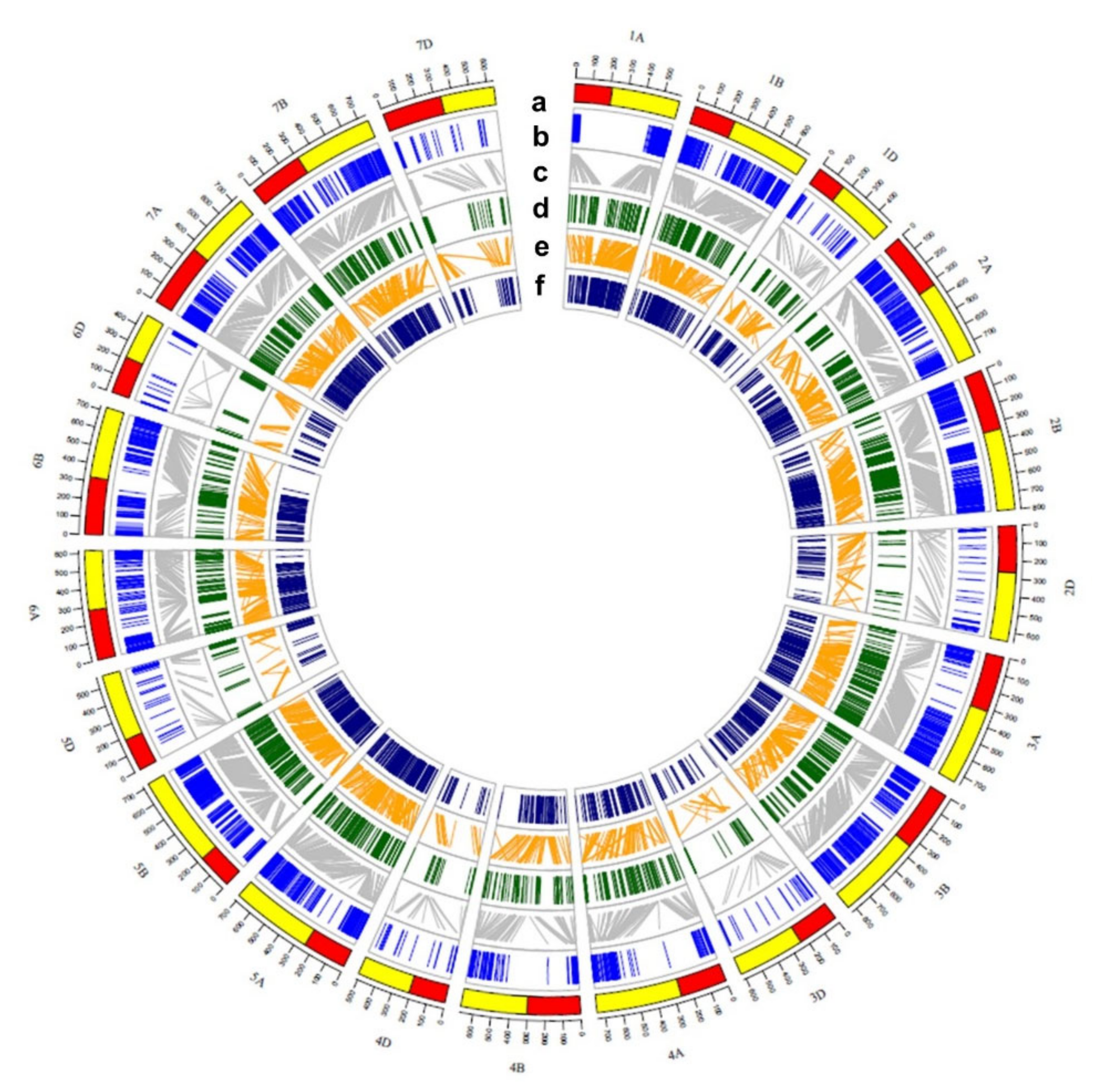 Ijms 22 11934 g004 Ijms 22 11934 g004