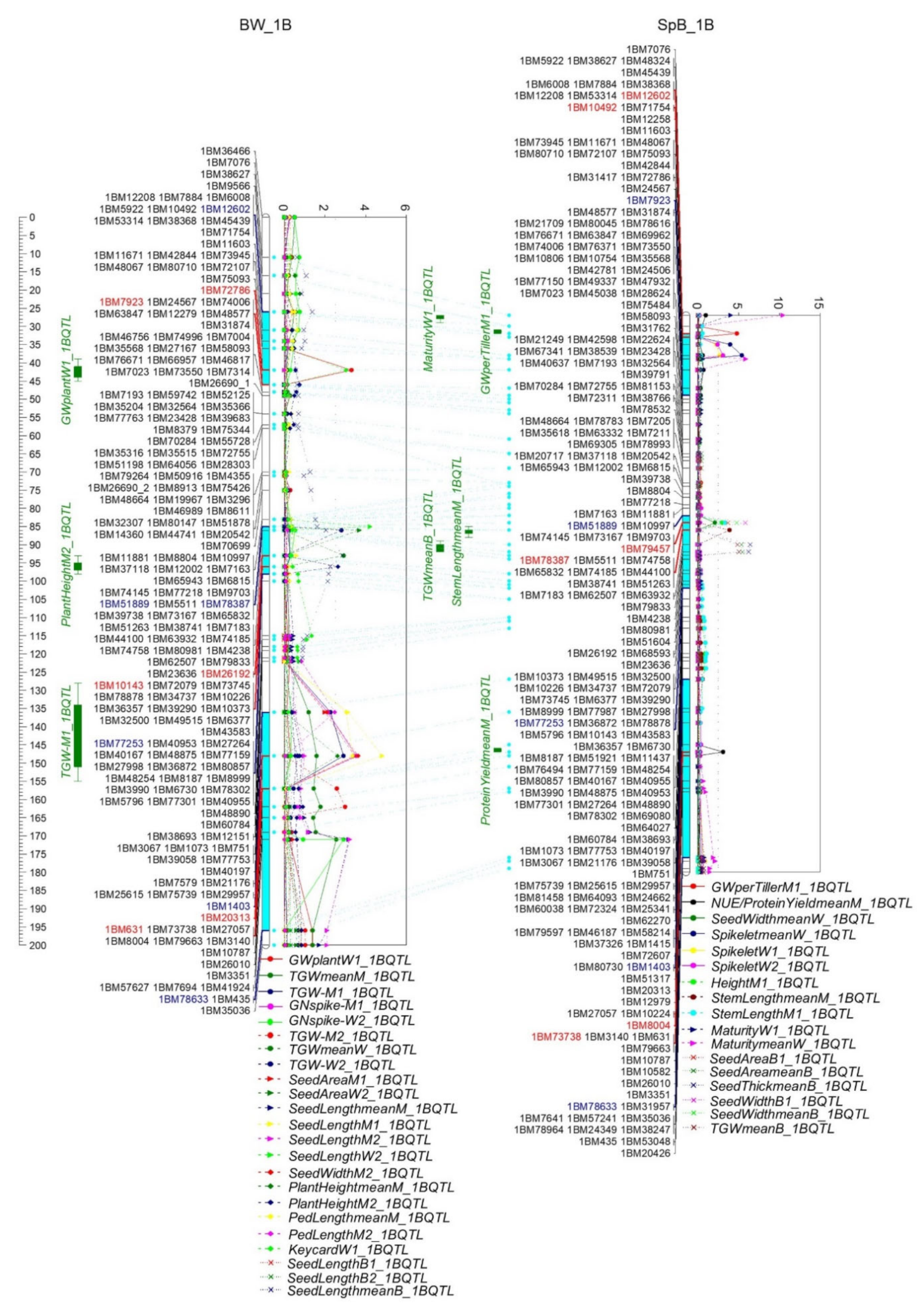 Ijms 22 11934 g006 Ijms 22 11934 g006
