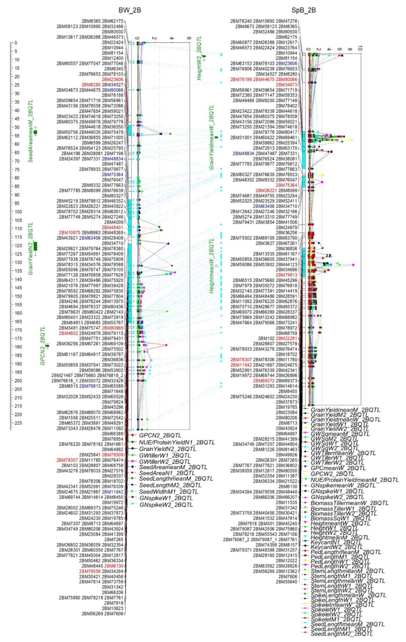 Ijms 22 11934 g007 Ijms 22 11934 g007