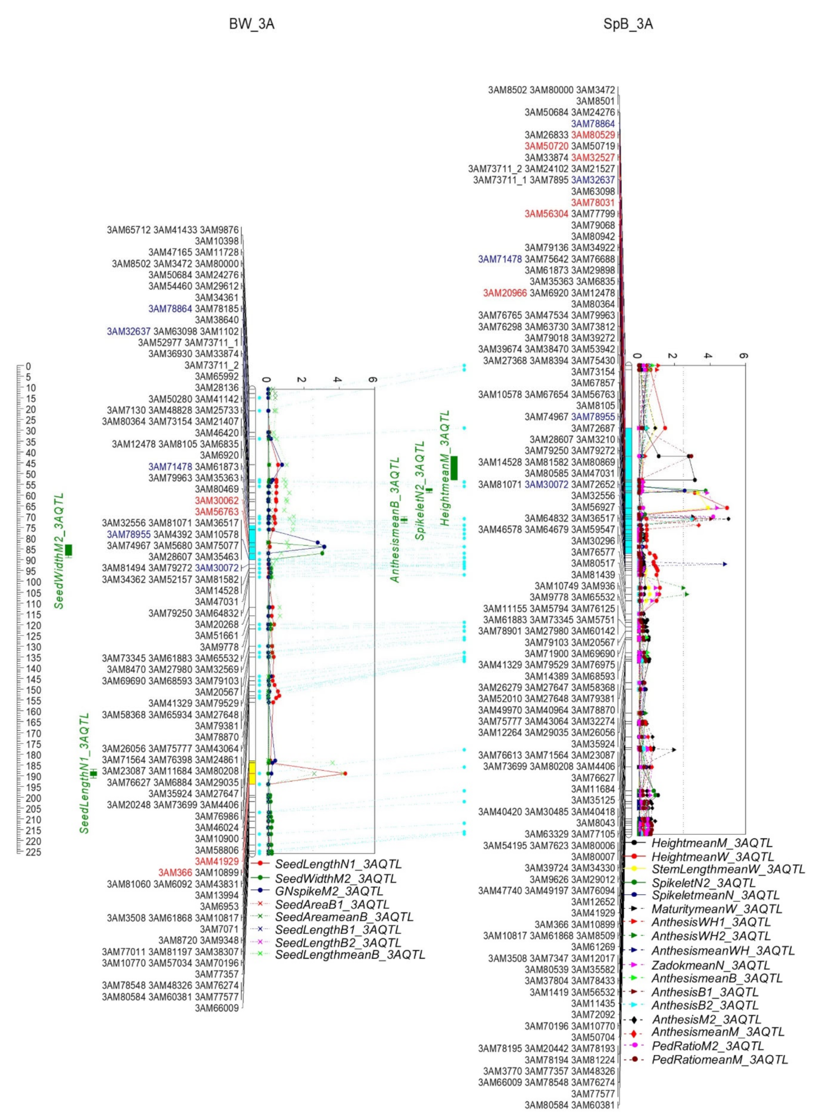 Ijms 22 11934 g008 Ijms 22 11934 g008