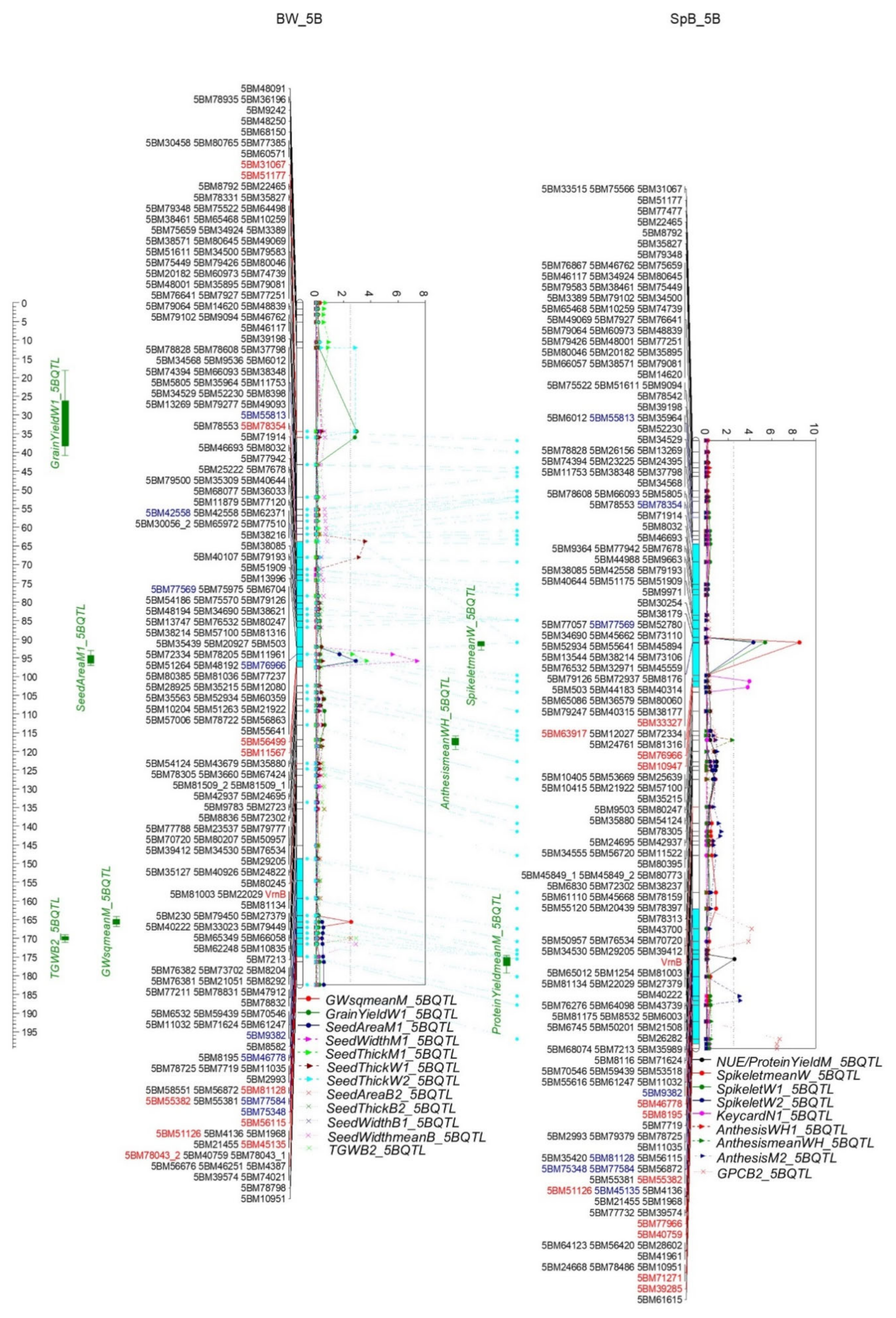 Ijms 22 11934 g009 Ijms 22 11934 g009