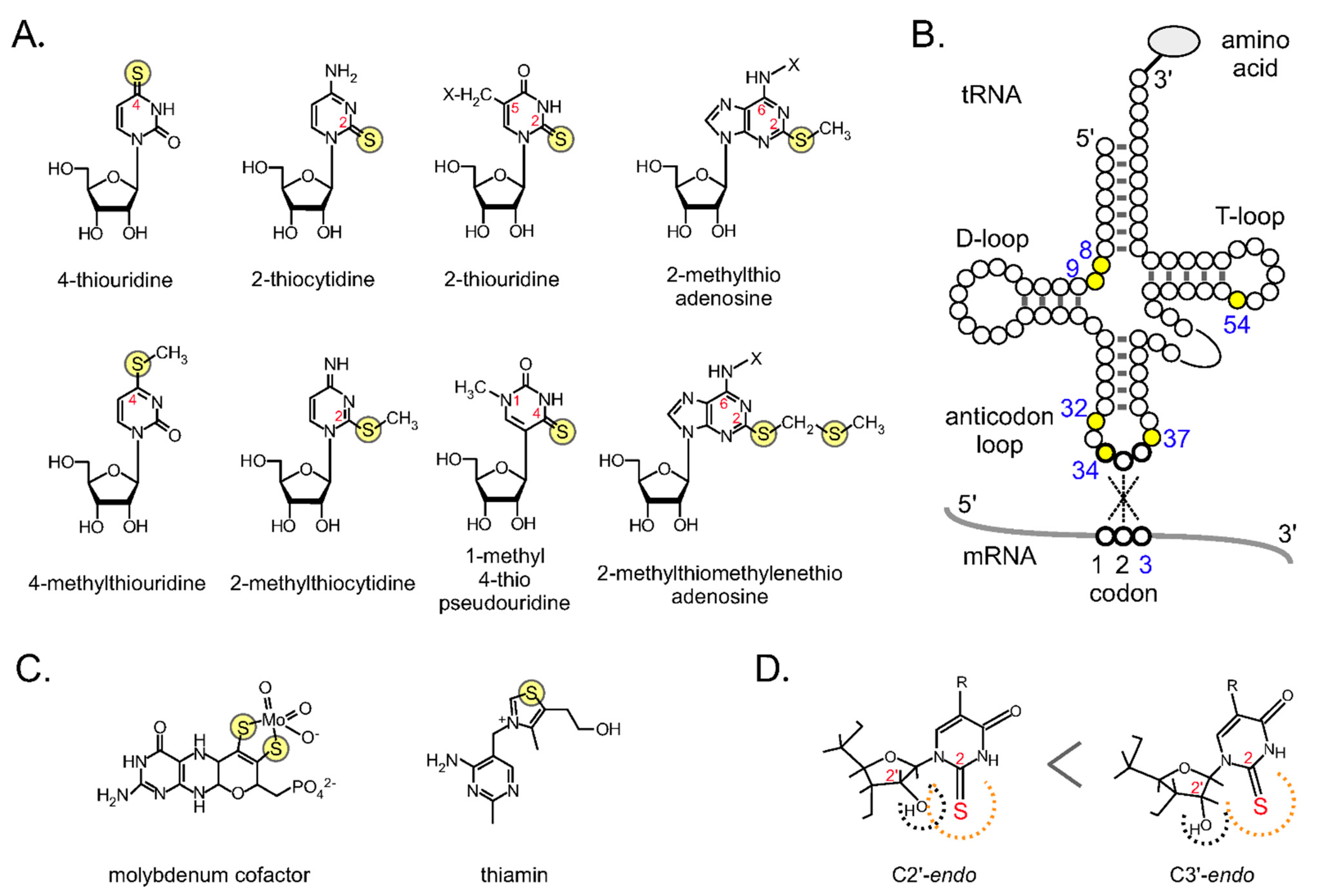 Ijms 22 11937 g001 550