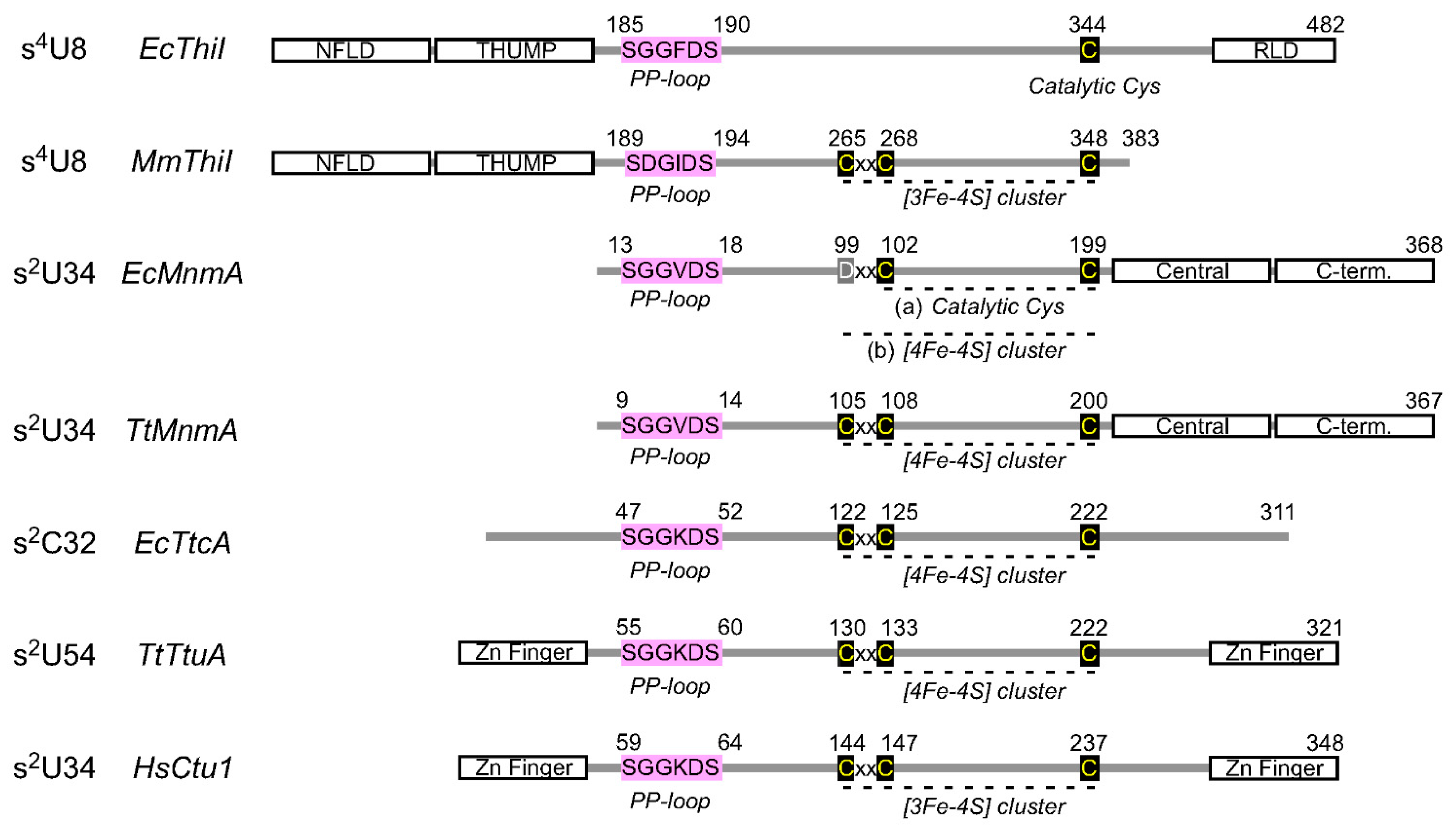 Ijms 22 11937 g003 550