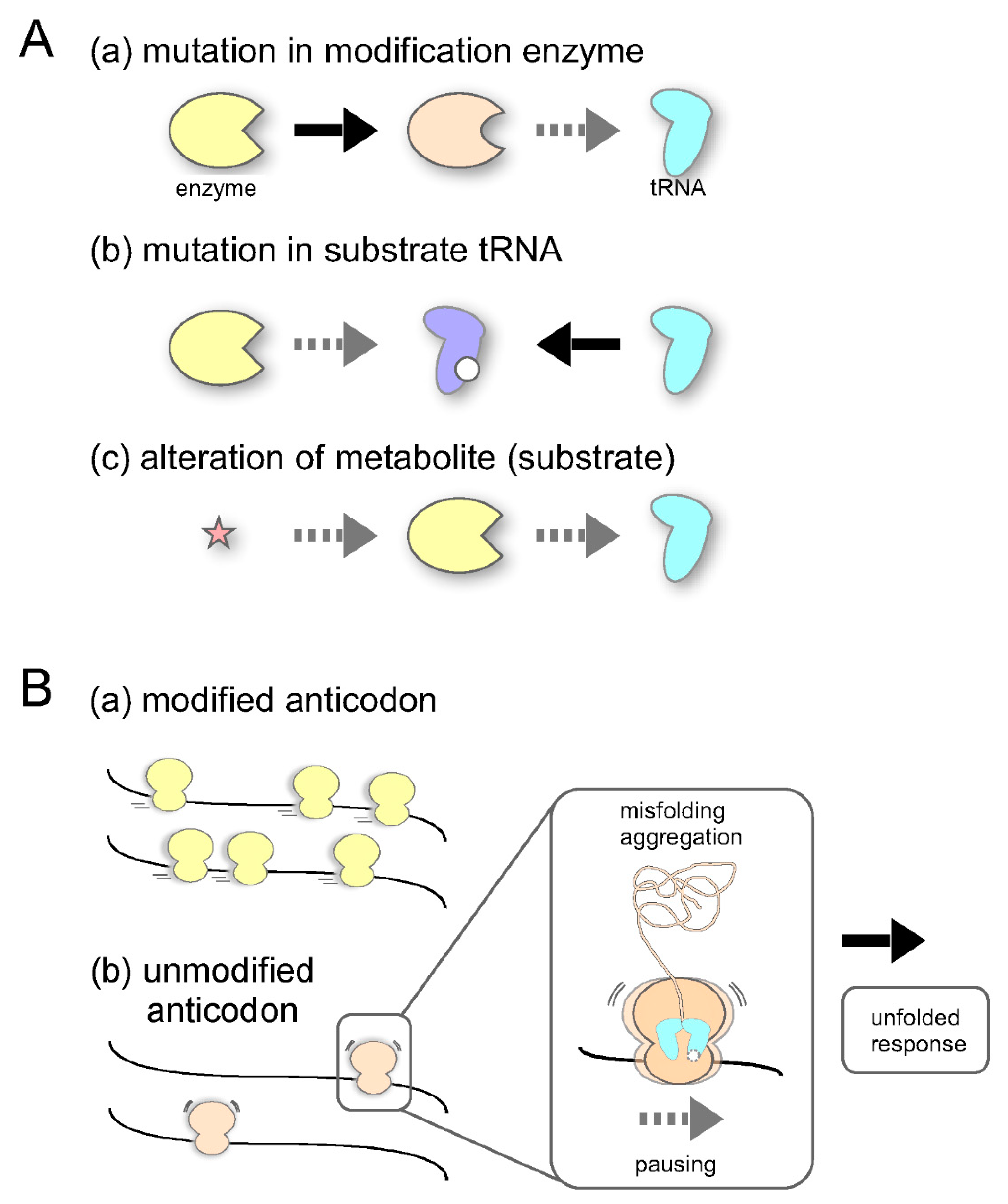 Ijms 22 11937 g004 550