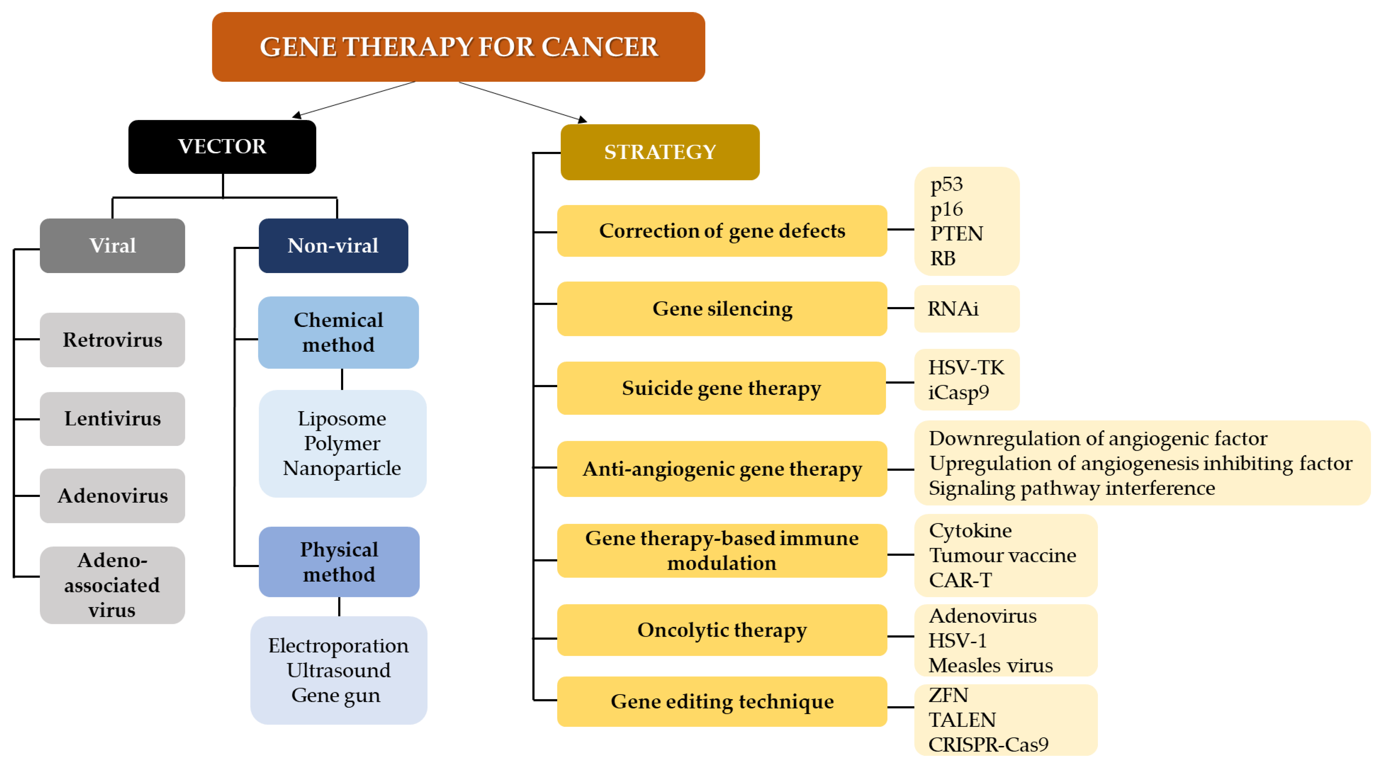 Ijms 22 11941 g002 Ijms 22 11941 g002