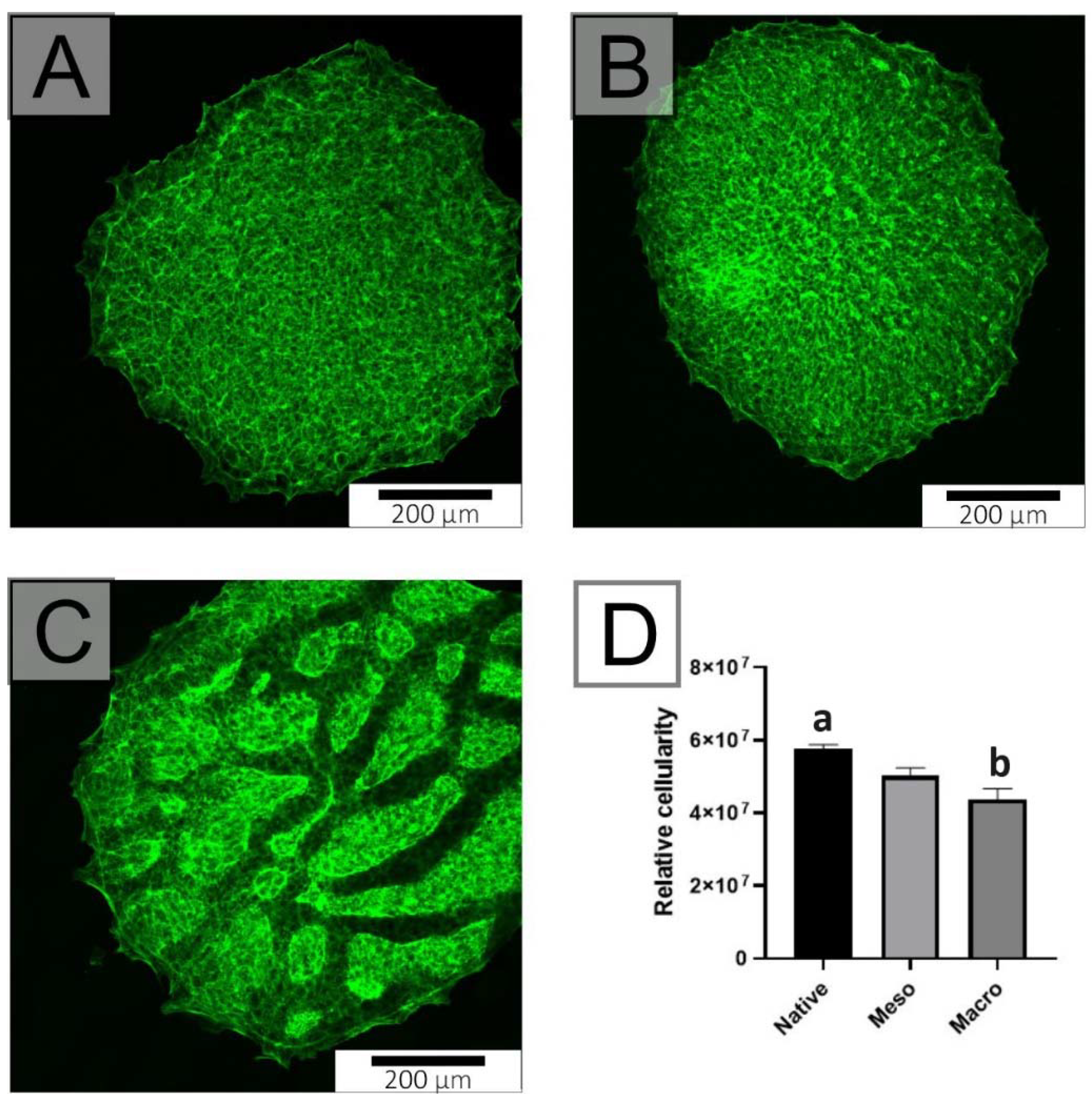 Ijms 22 11943 g003 550