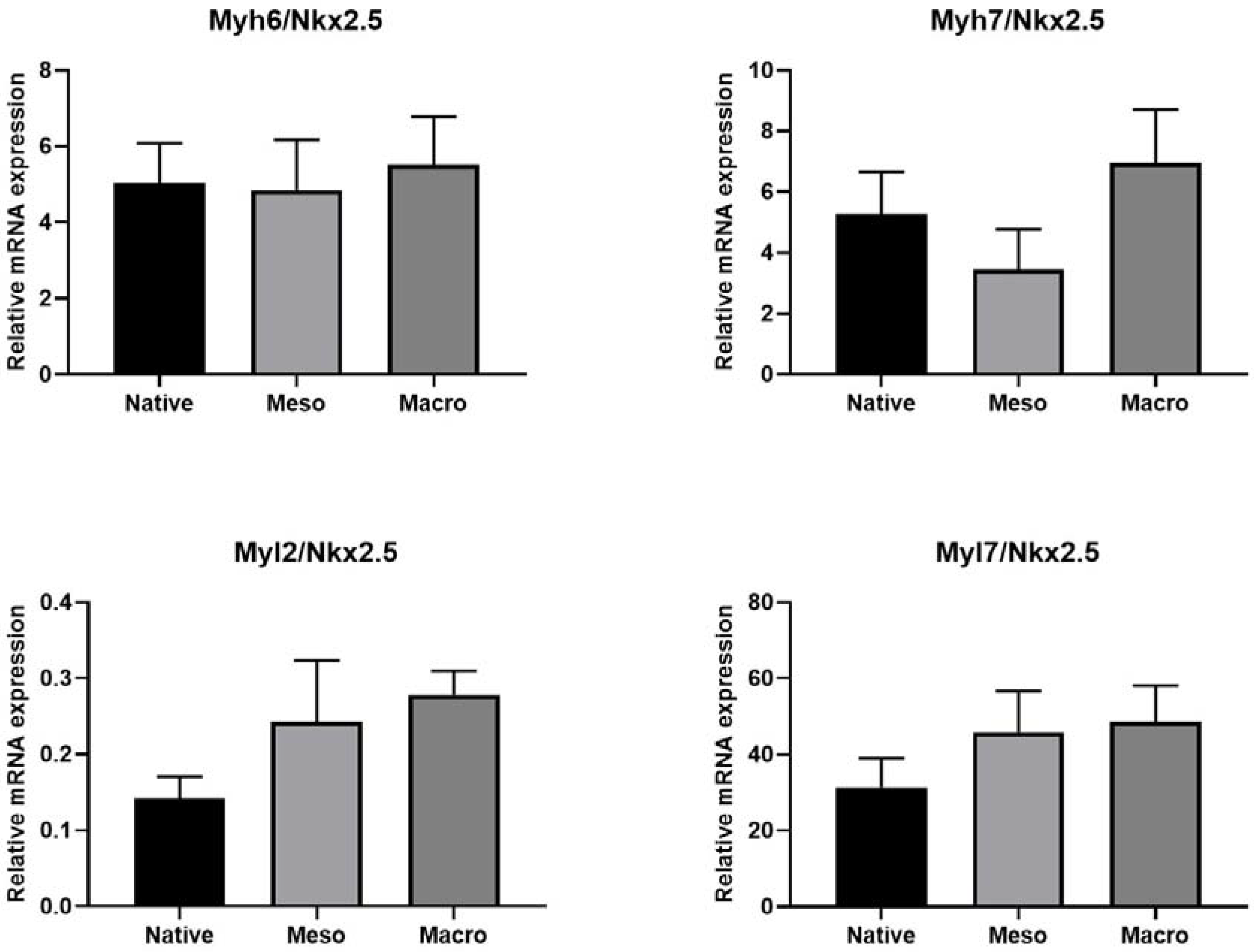 Ijms 22 11943 g006 550