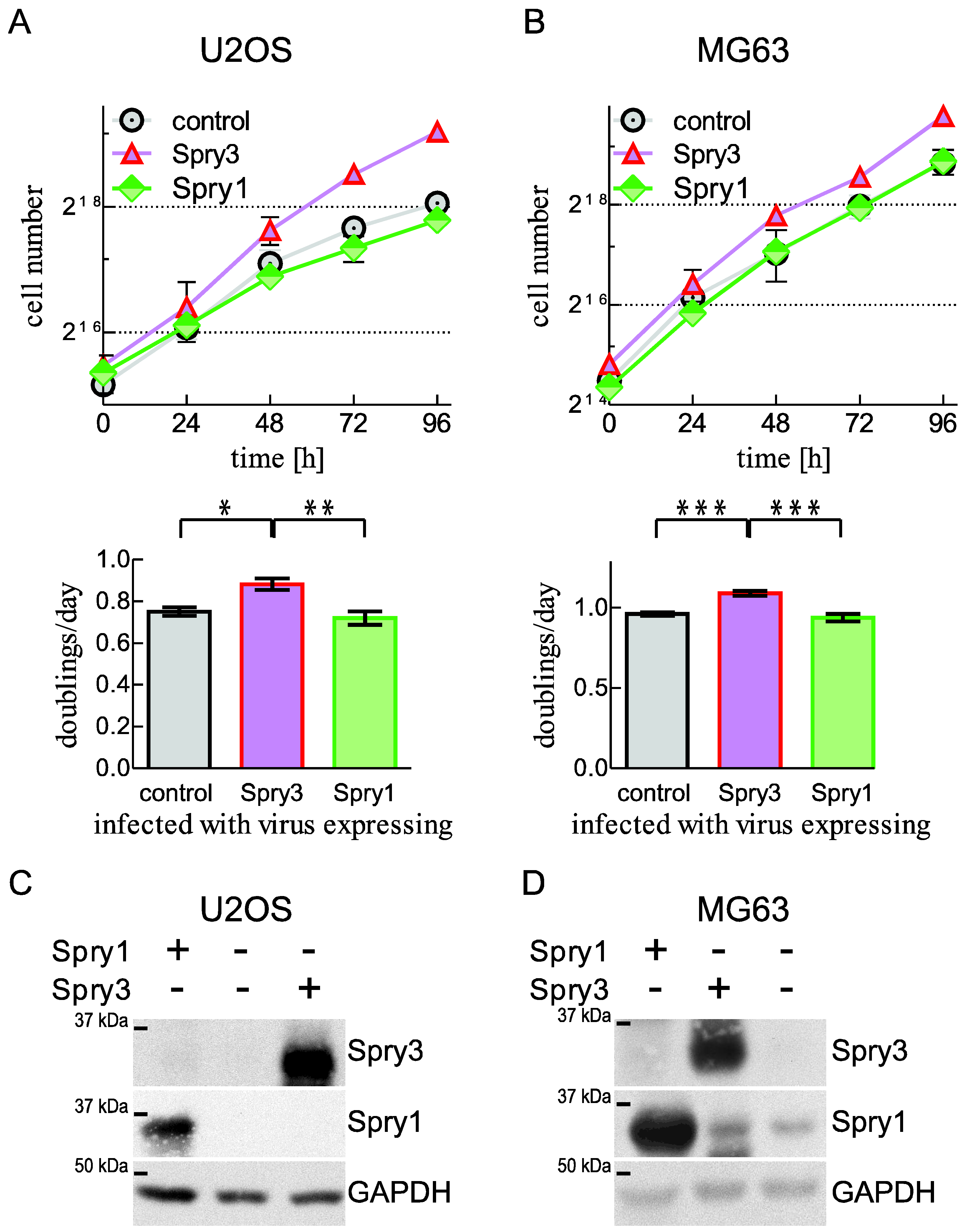 Ijms 22 11944 g003 Ijms 22 11944 g003