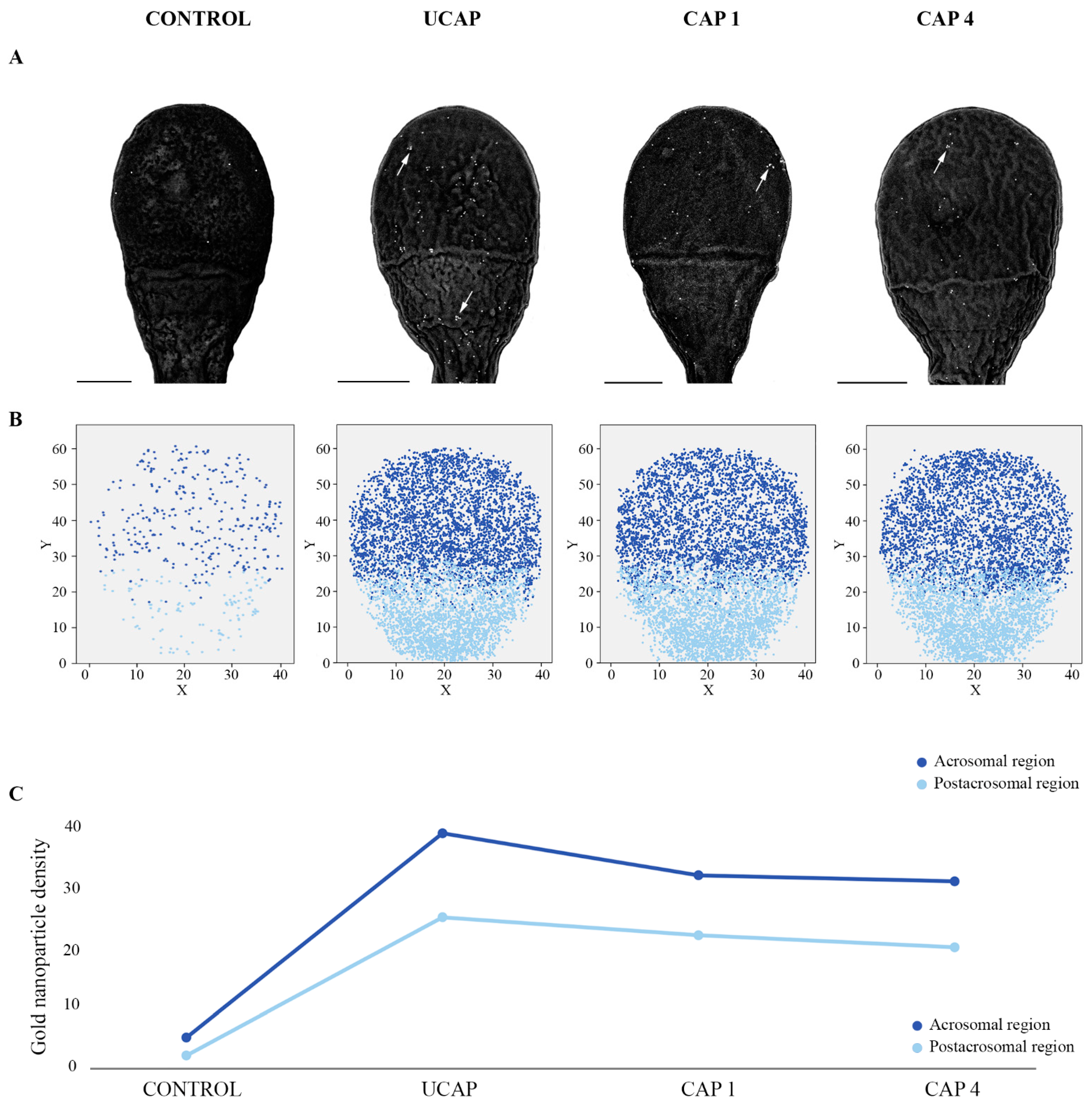 Ijms 22 11947 g001 550
