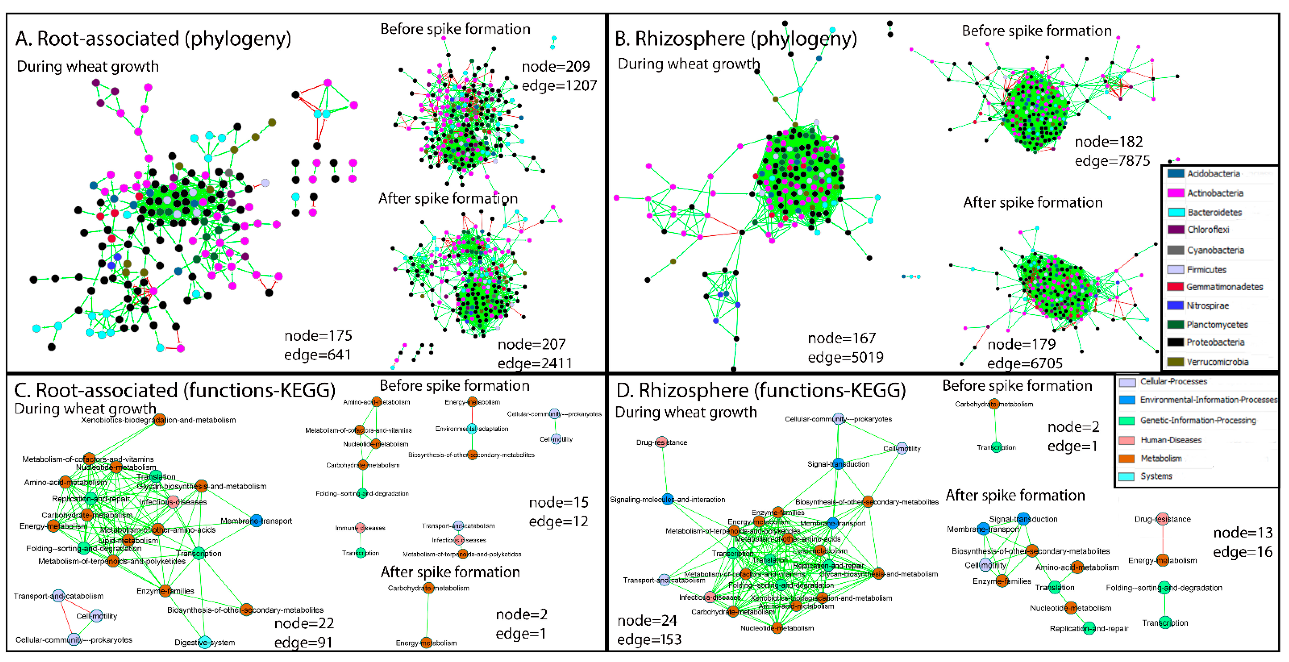 Ijms 22 11948 g003 Ijms 22 11948 g003
