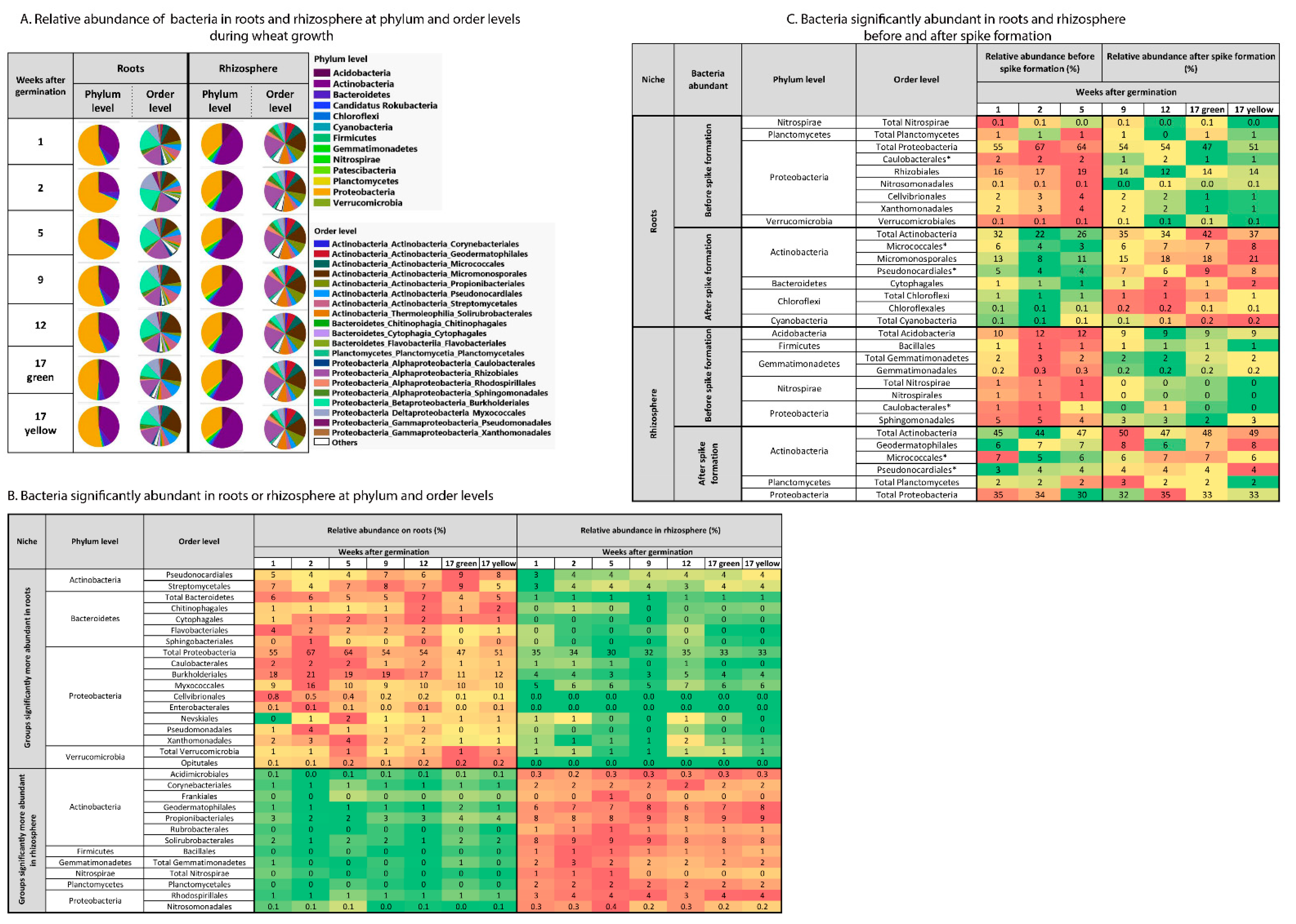 Ijms 22 11948 g004 Ijms 22 11948 g004