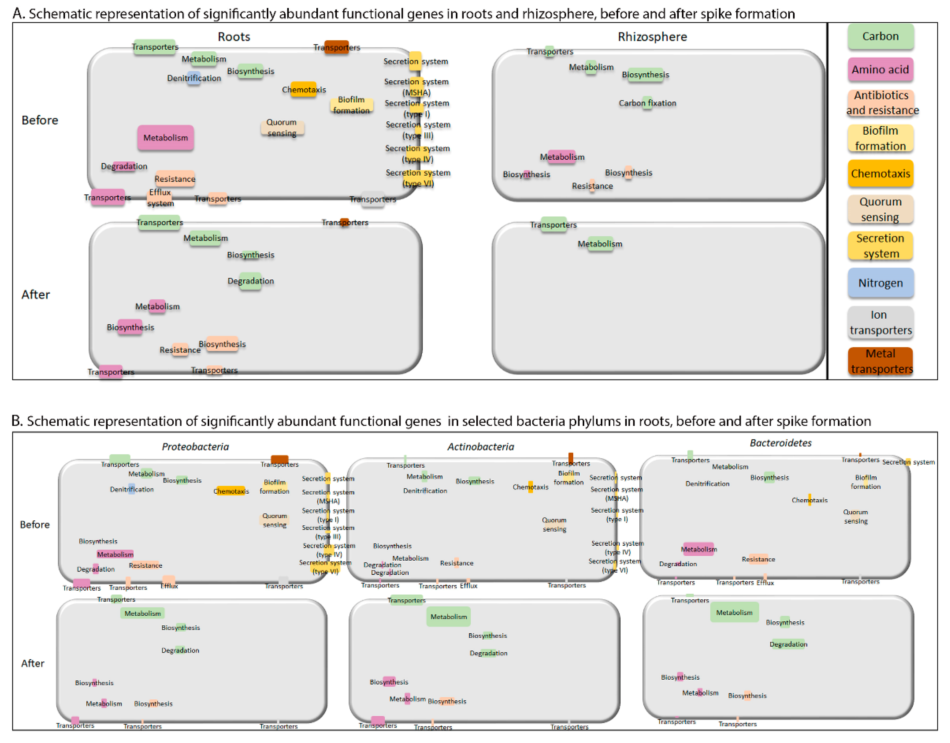 Ijms 22 11948 g007 Ijms 22 11948 g007