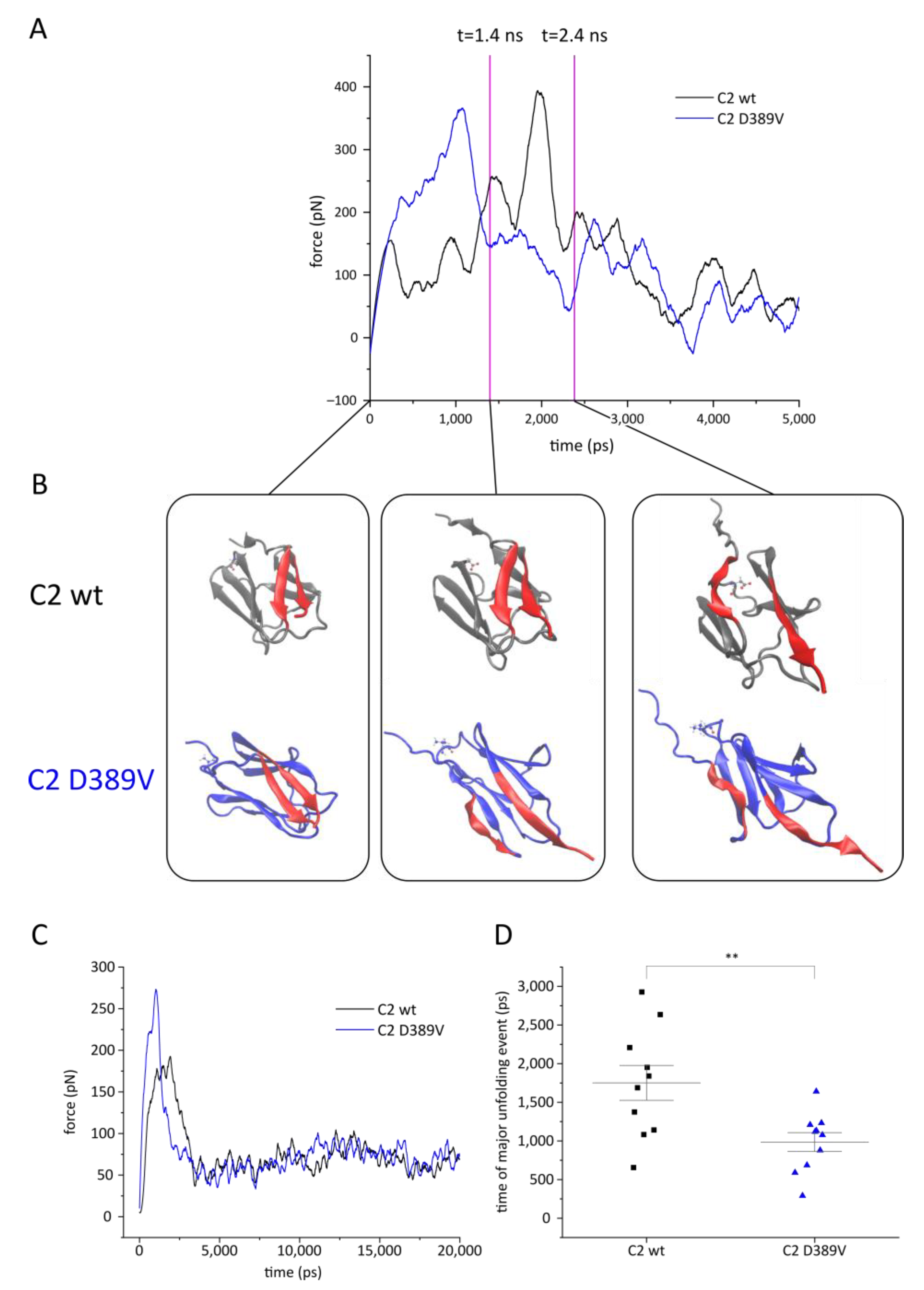 Ijms 22 11949 g006 Ijms 22 11949 g006