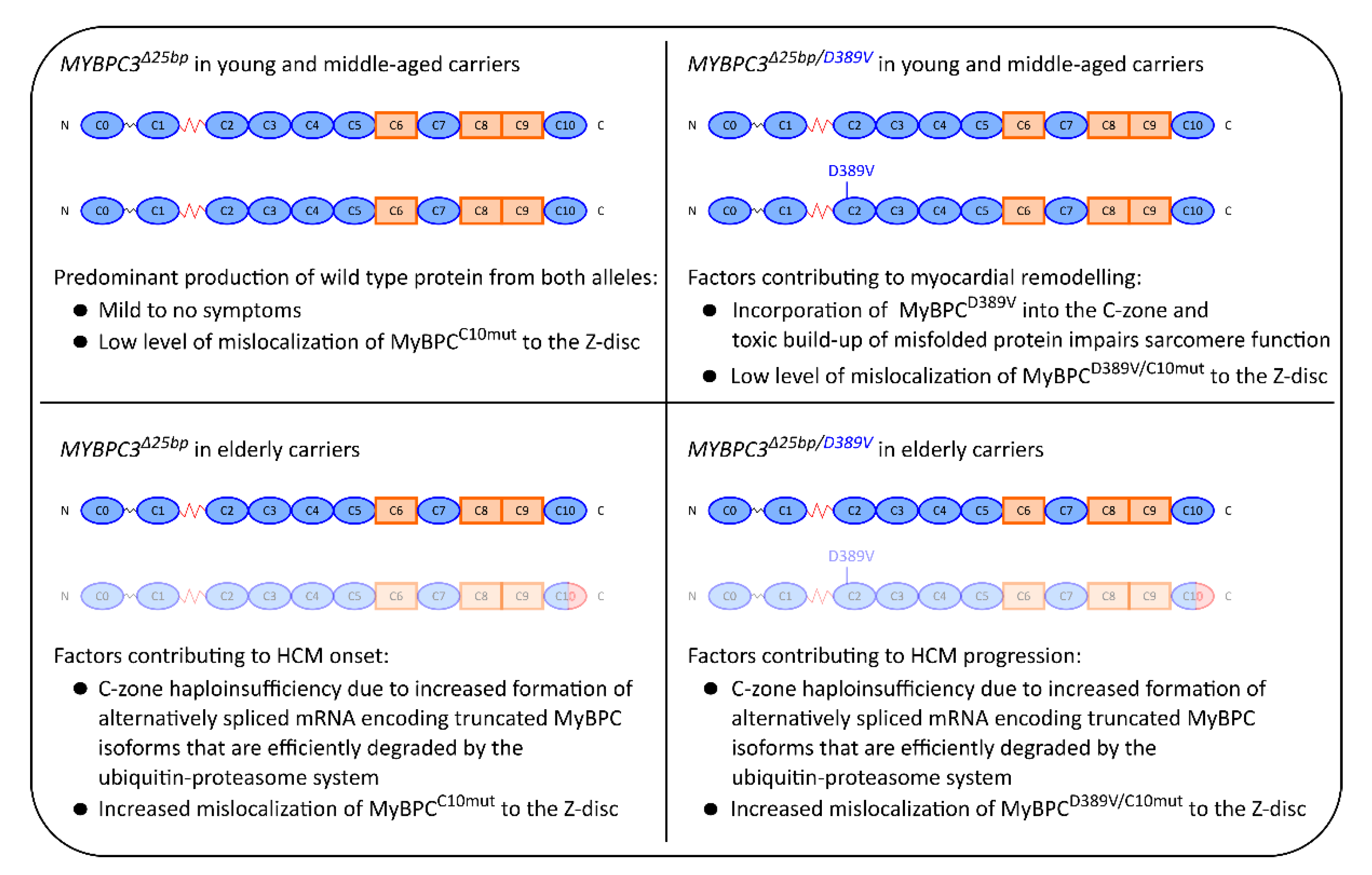 Ijms 22 11949 g007 Ijms 22 11949 g007