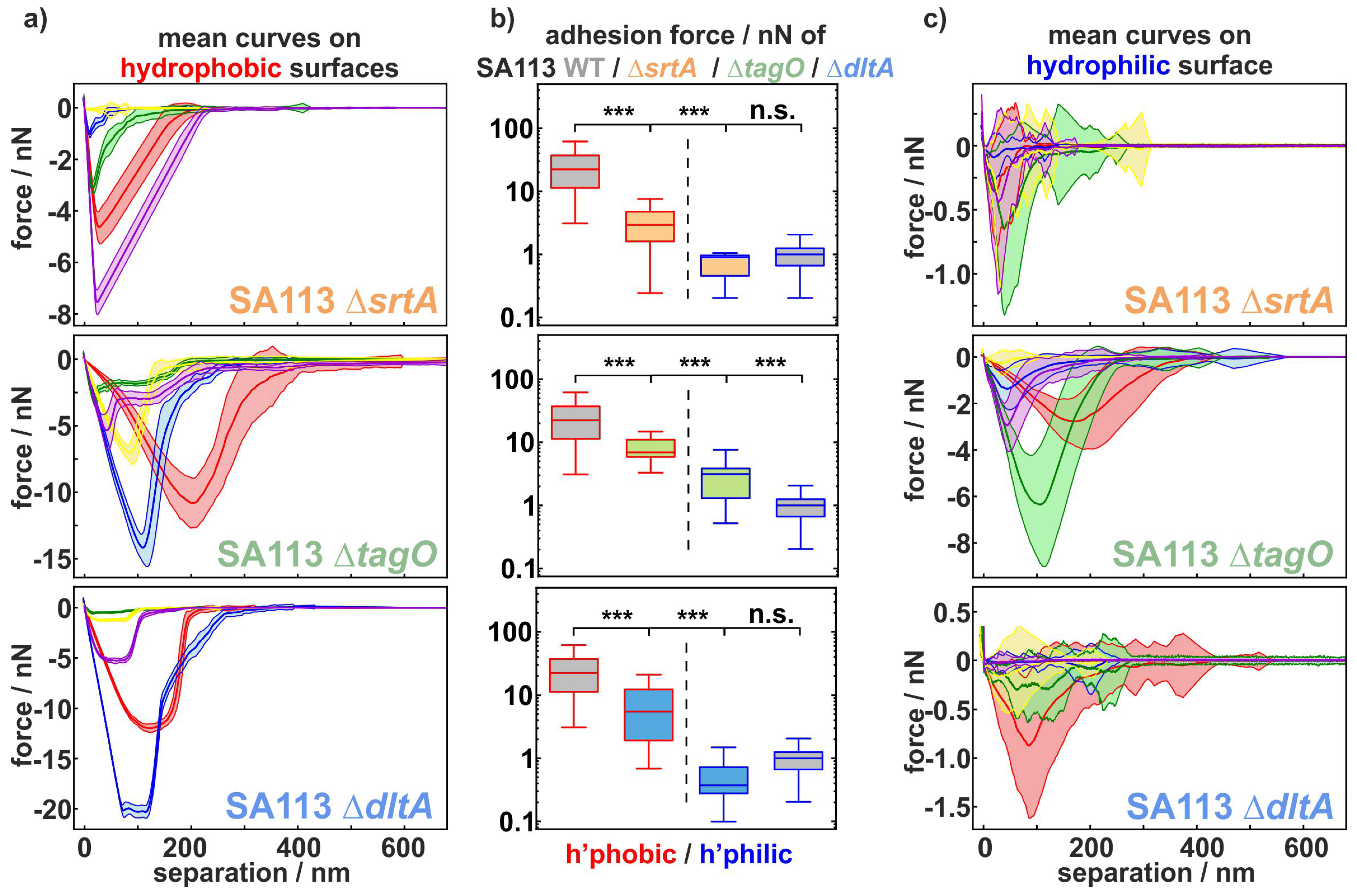 Ijms 22 11952 g001 Ijms 22 11952 g001