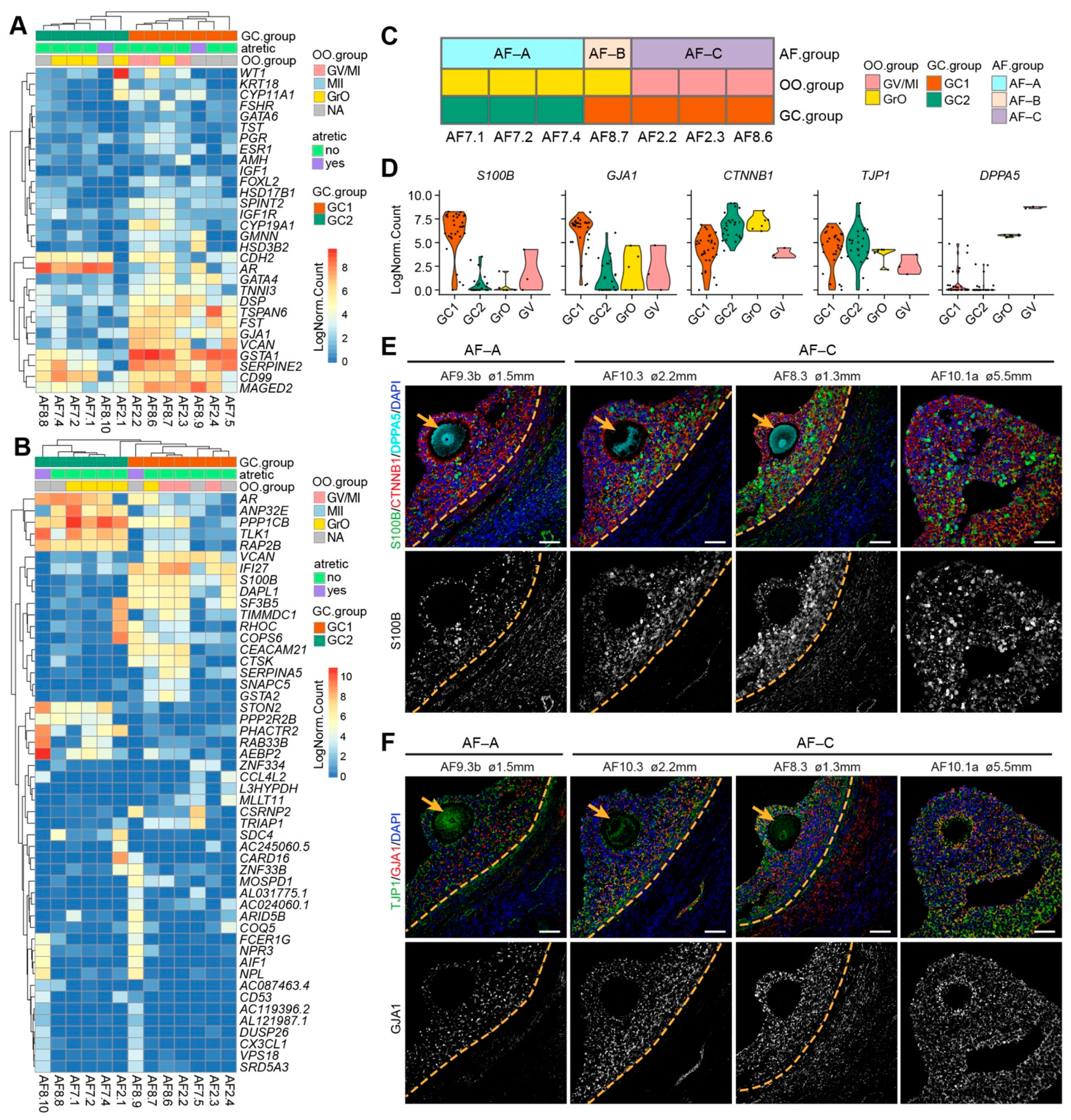 Ijms 22 11955 g004 550