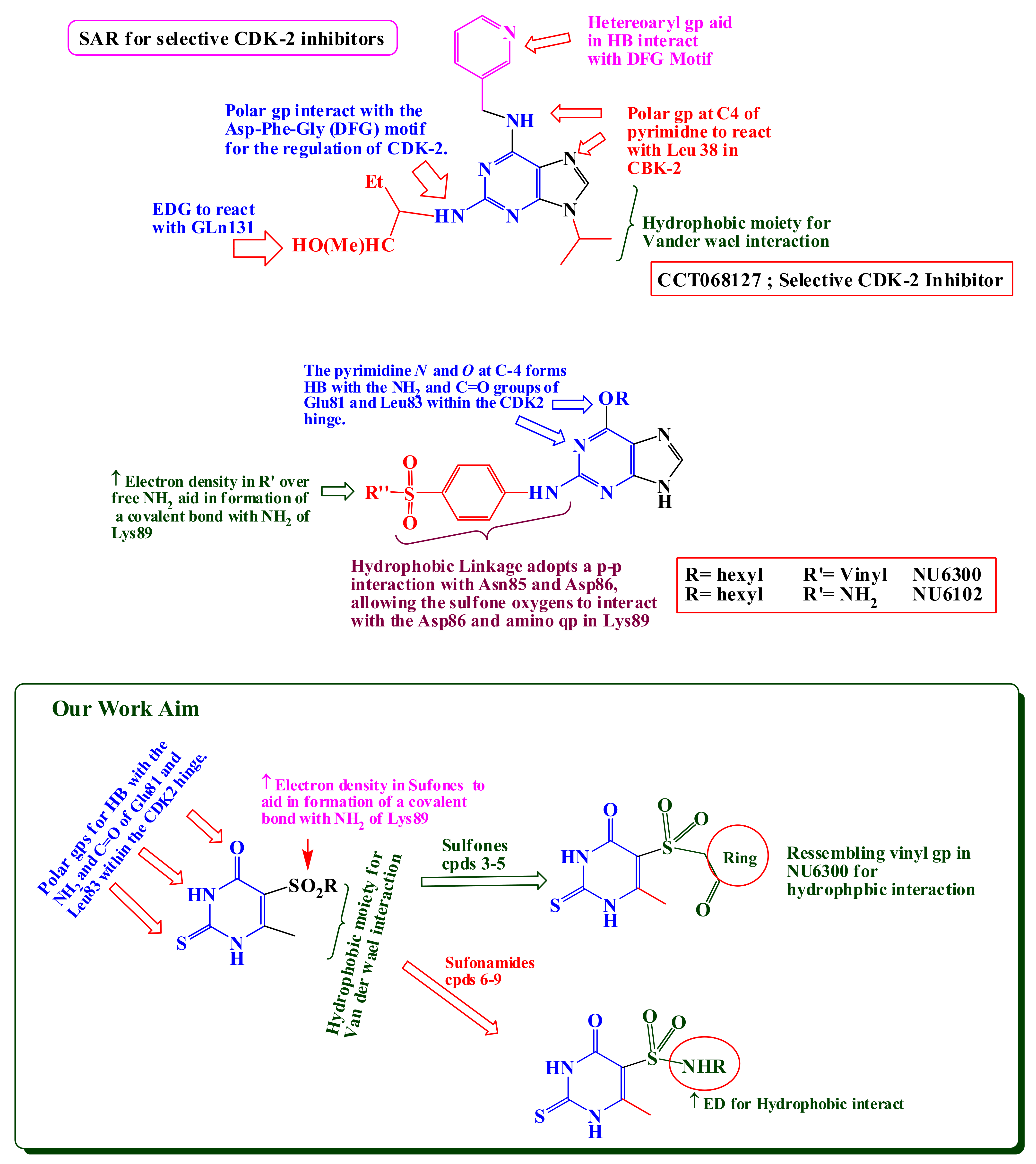 Ijms 22 11957 g002 Ijms 22 11957 g002