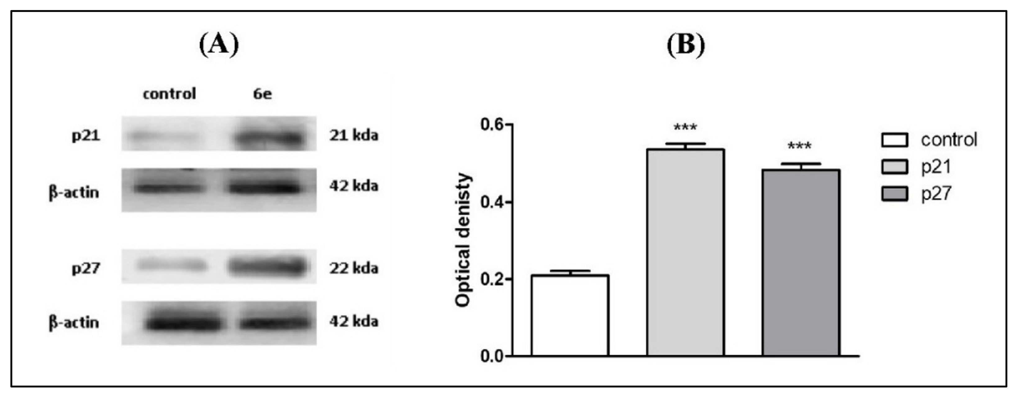 Ijms 22 11957 g005 Ijms 22 11957 g005