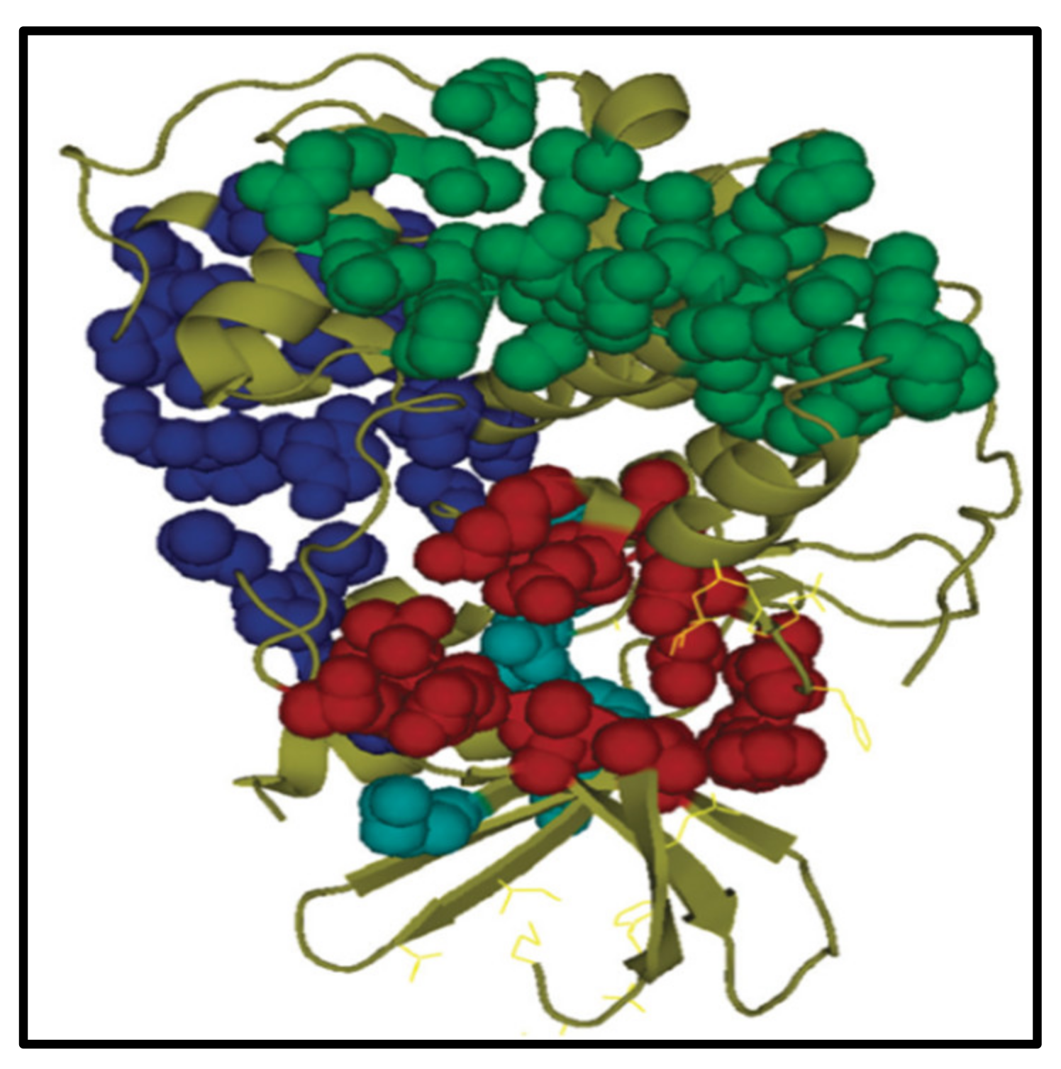 Ijms 22 11957 g006 Ijms 22 11957 g006