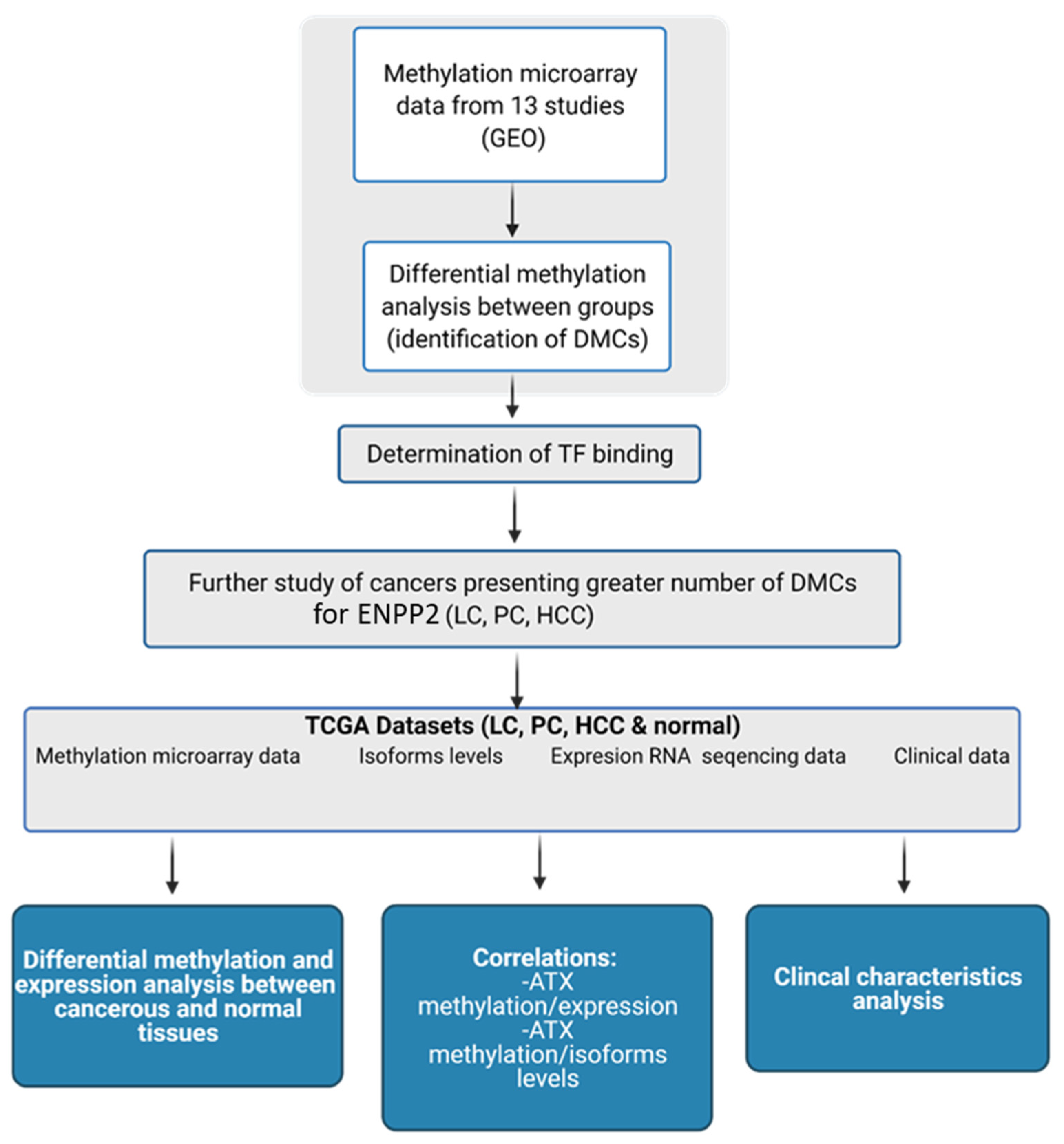 Ijms 22 11958 g001 550