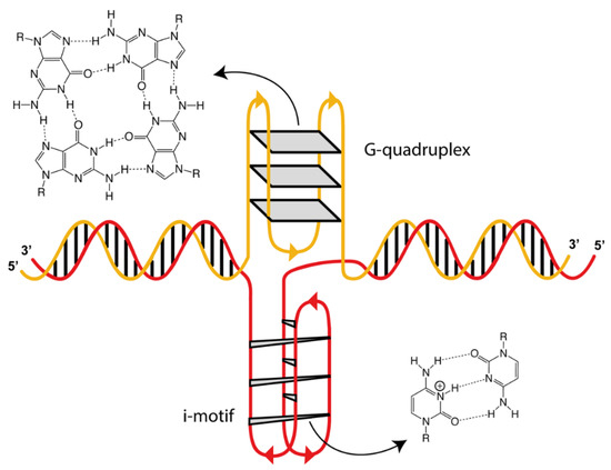 ijms free full text synthesis and characterization of bis triazolyl pyridine derivatives as noncanonical dna interacting compounds html ijms free full text synthesis and characterization of bis triazolyl pyridine derivatives as noncanonical dna interacting compounds html