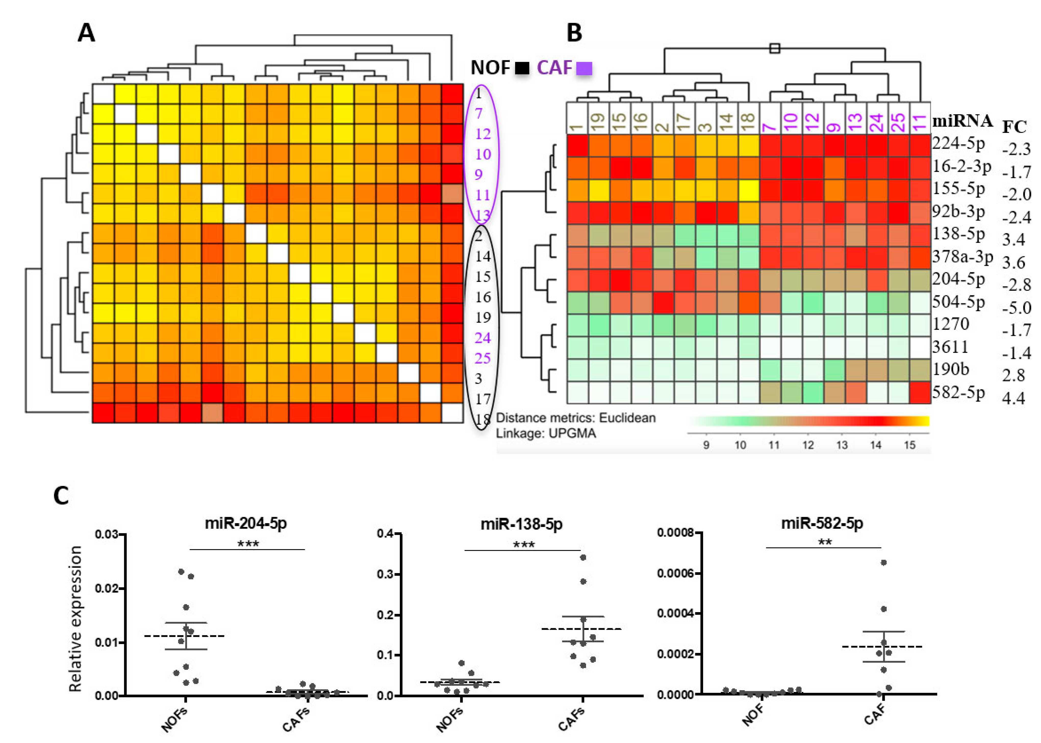Ijms 22 11960 g001 550