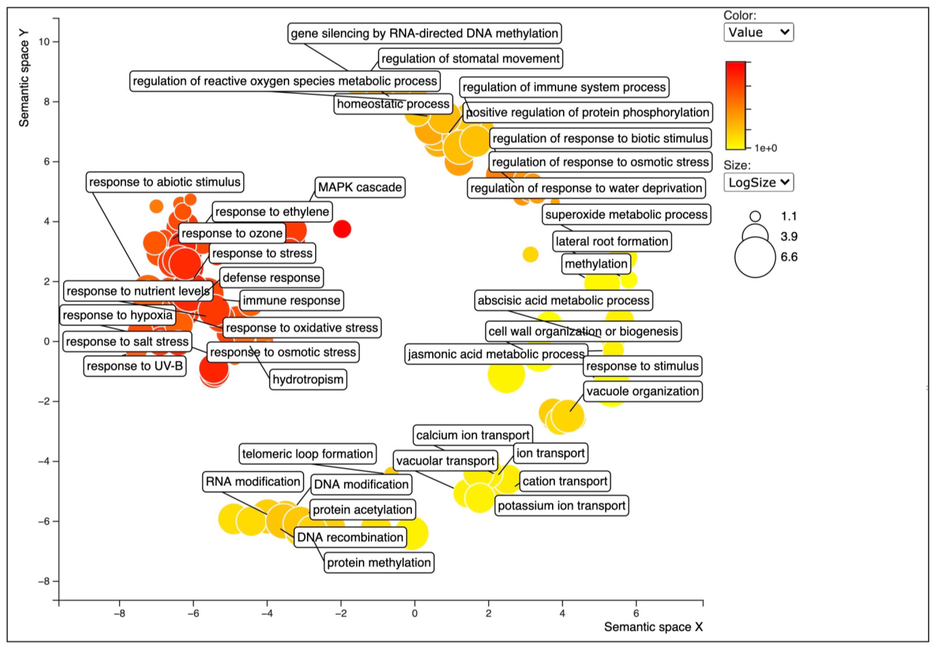 Ijms 22 11964 g003 550