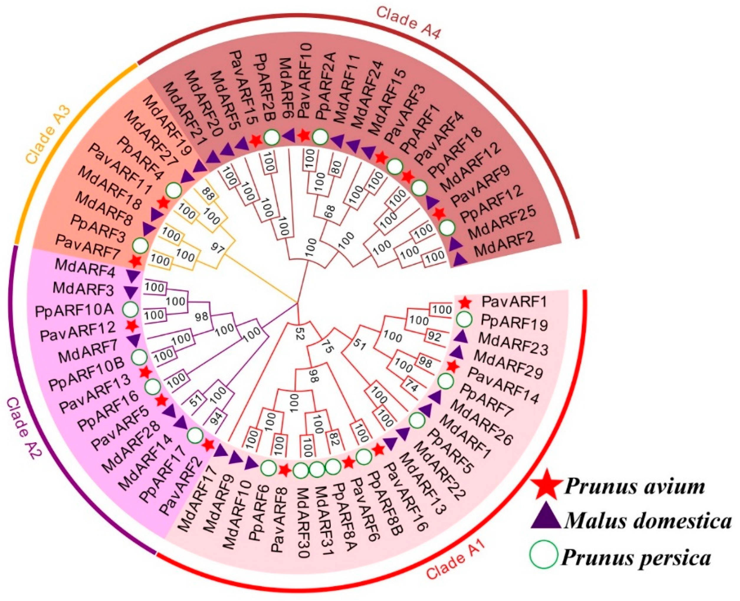 Ijms 22 11968 g001 550