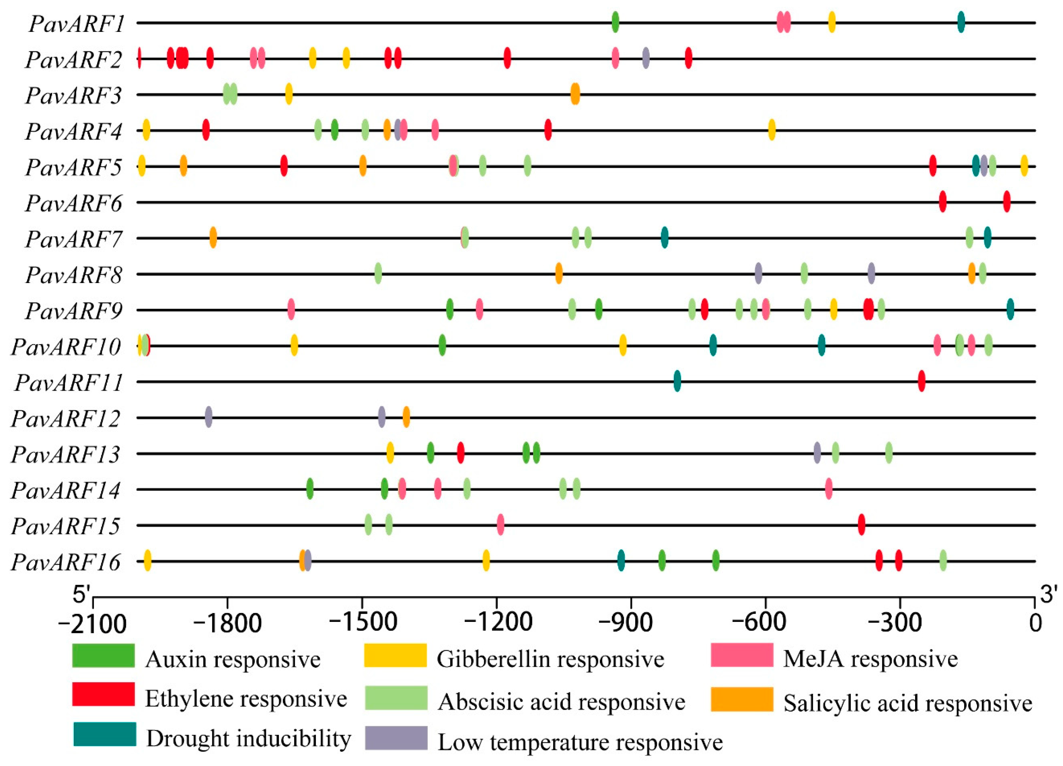 Ijms 22 11968 g003 550