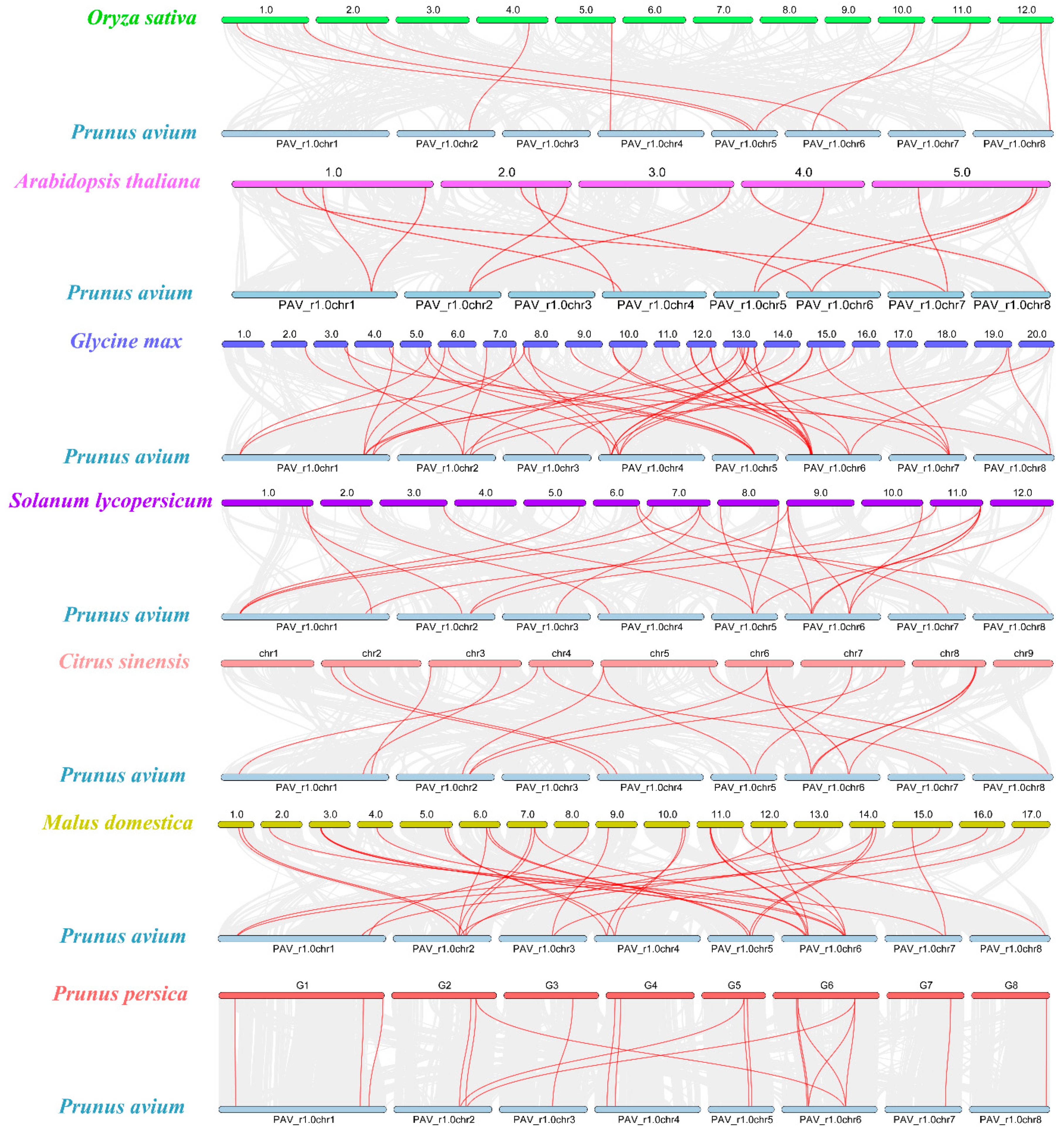 Ijms 22 11968 g004 550