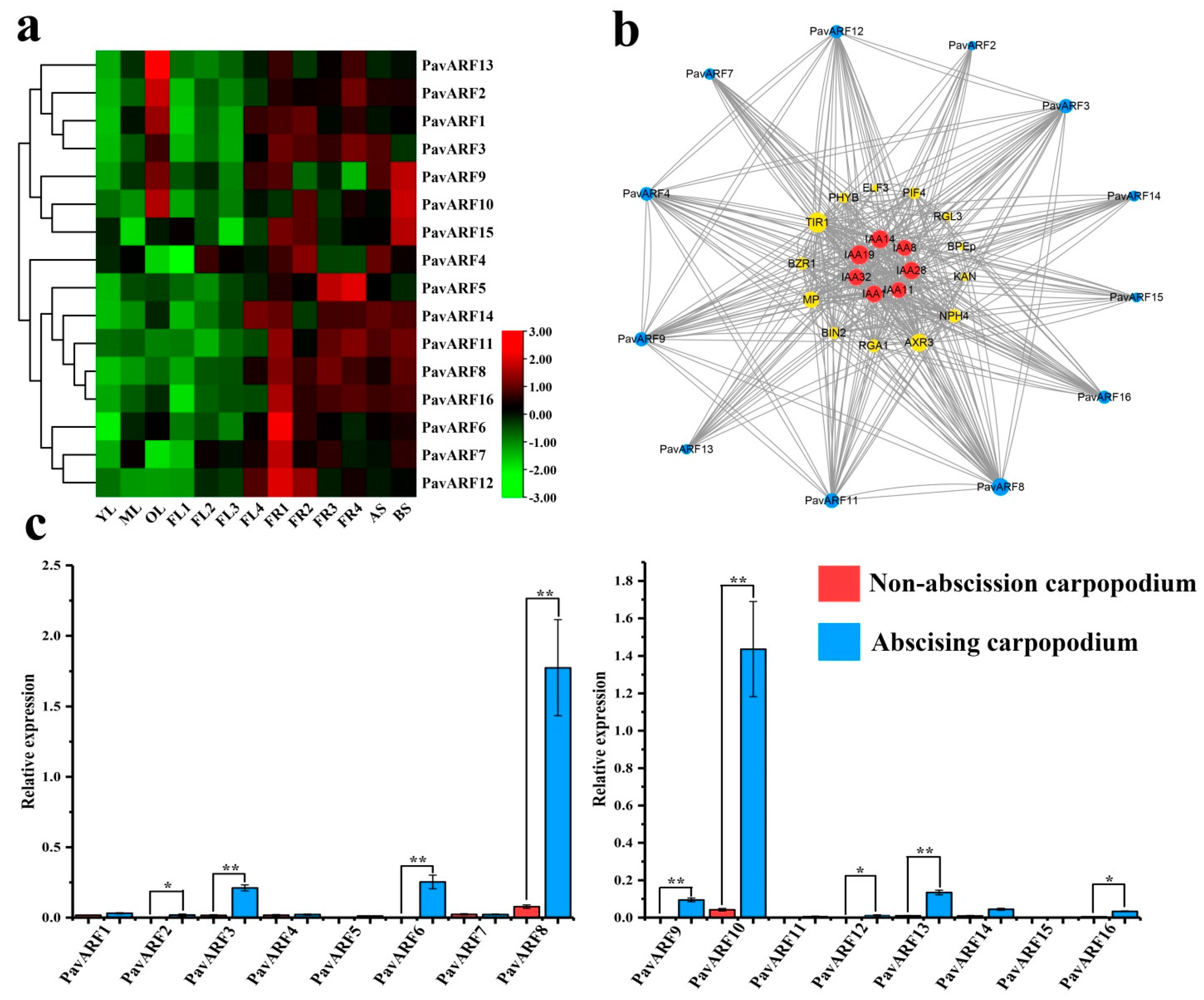 Ijms 22 11968 g005 550