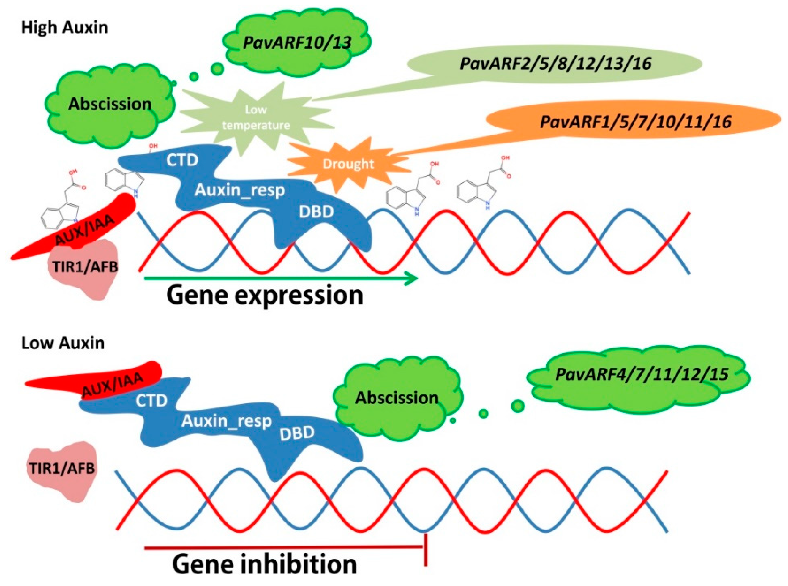 Ijms 22 11968 g008 550