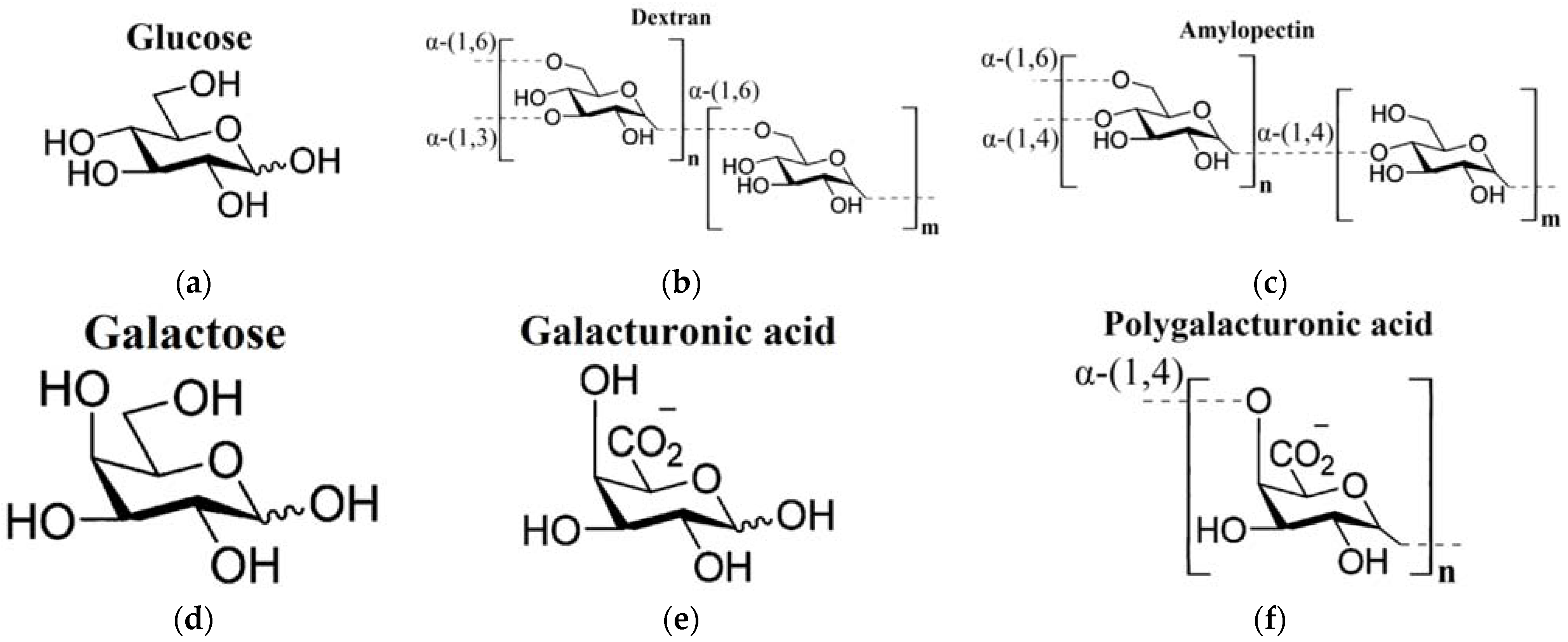 Ijms 22 11969 g001 Ijms 22 11969 g001