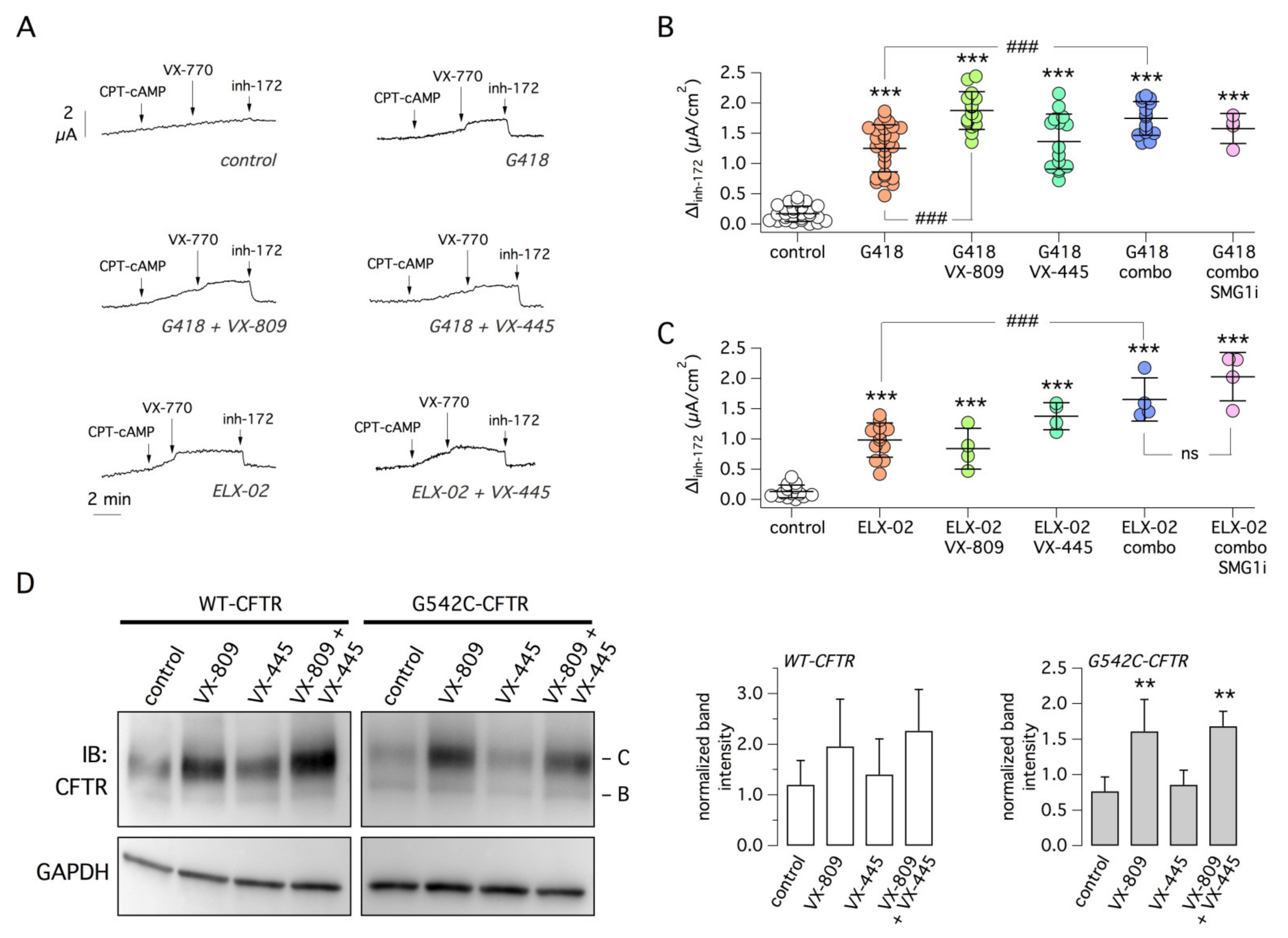 Ijms 22 11972 g001 550