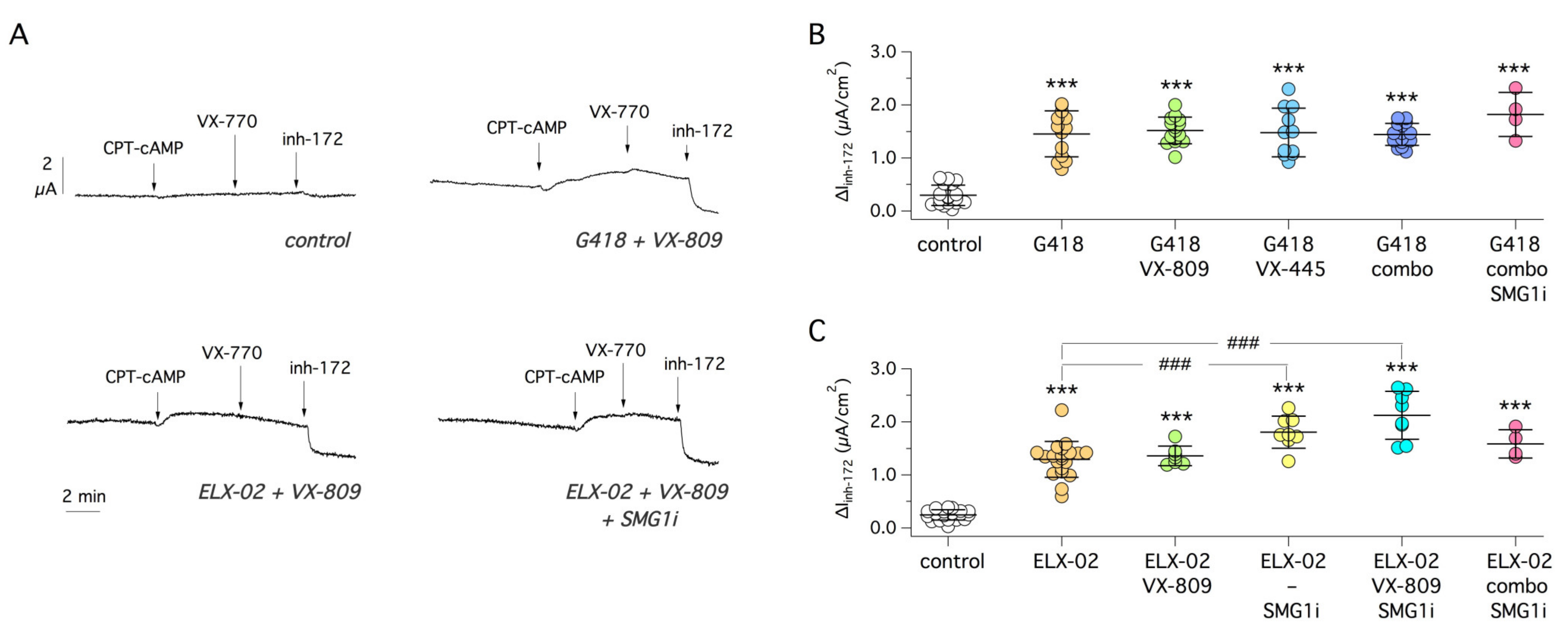 Ijms 22 11972 g003 550
