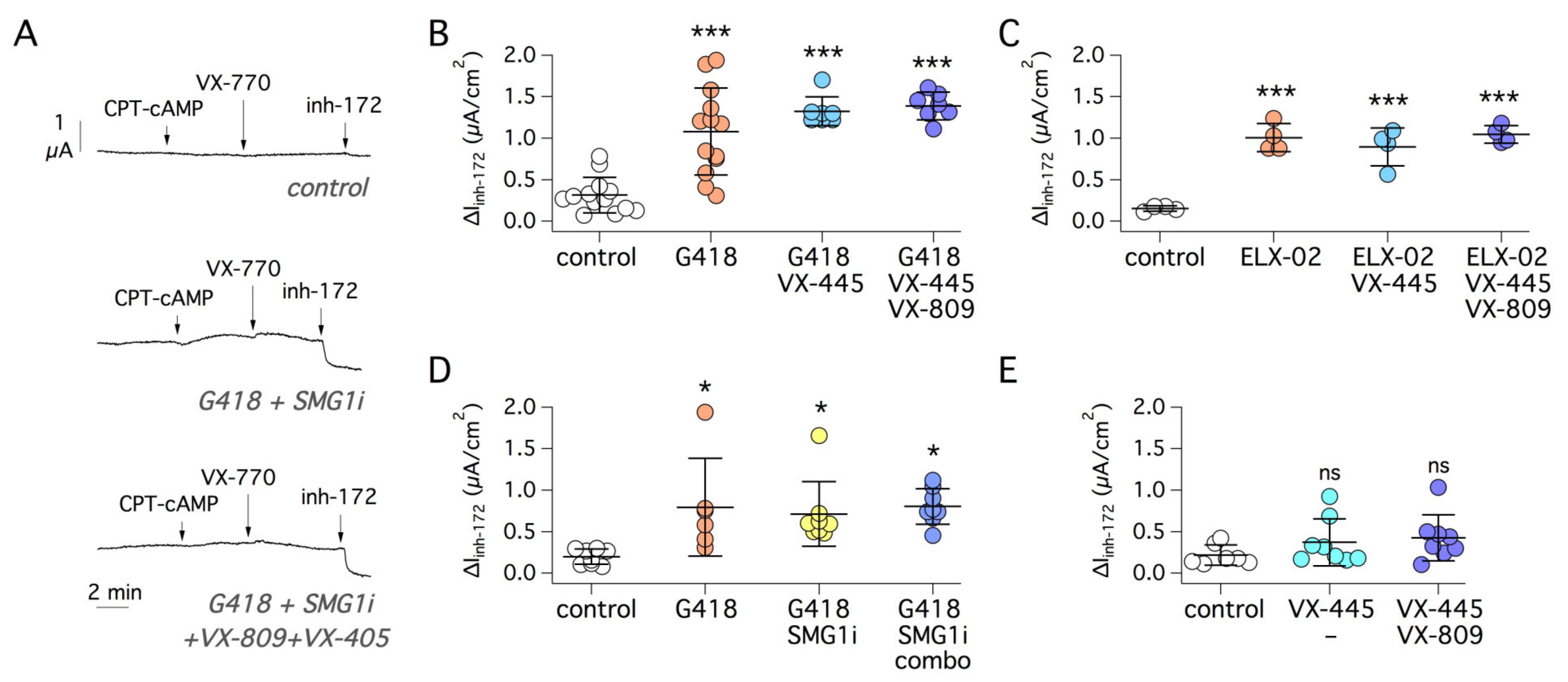 Ijms 22 11972 g005 550