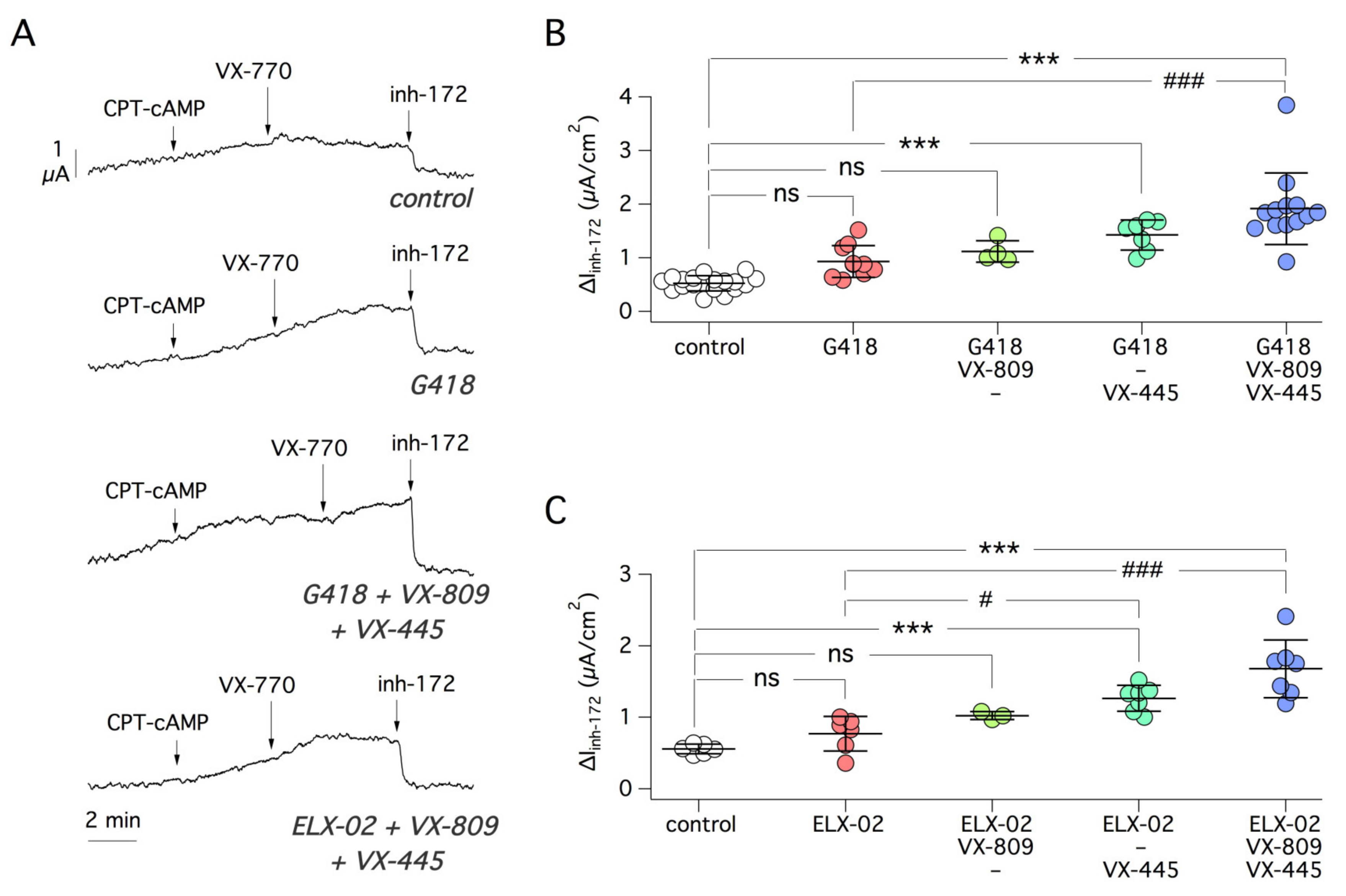 Ijms 22 11972 g006 550