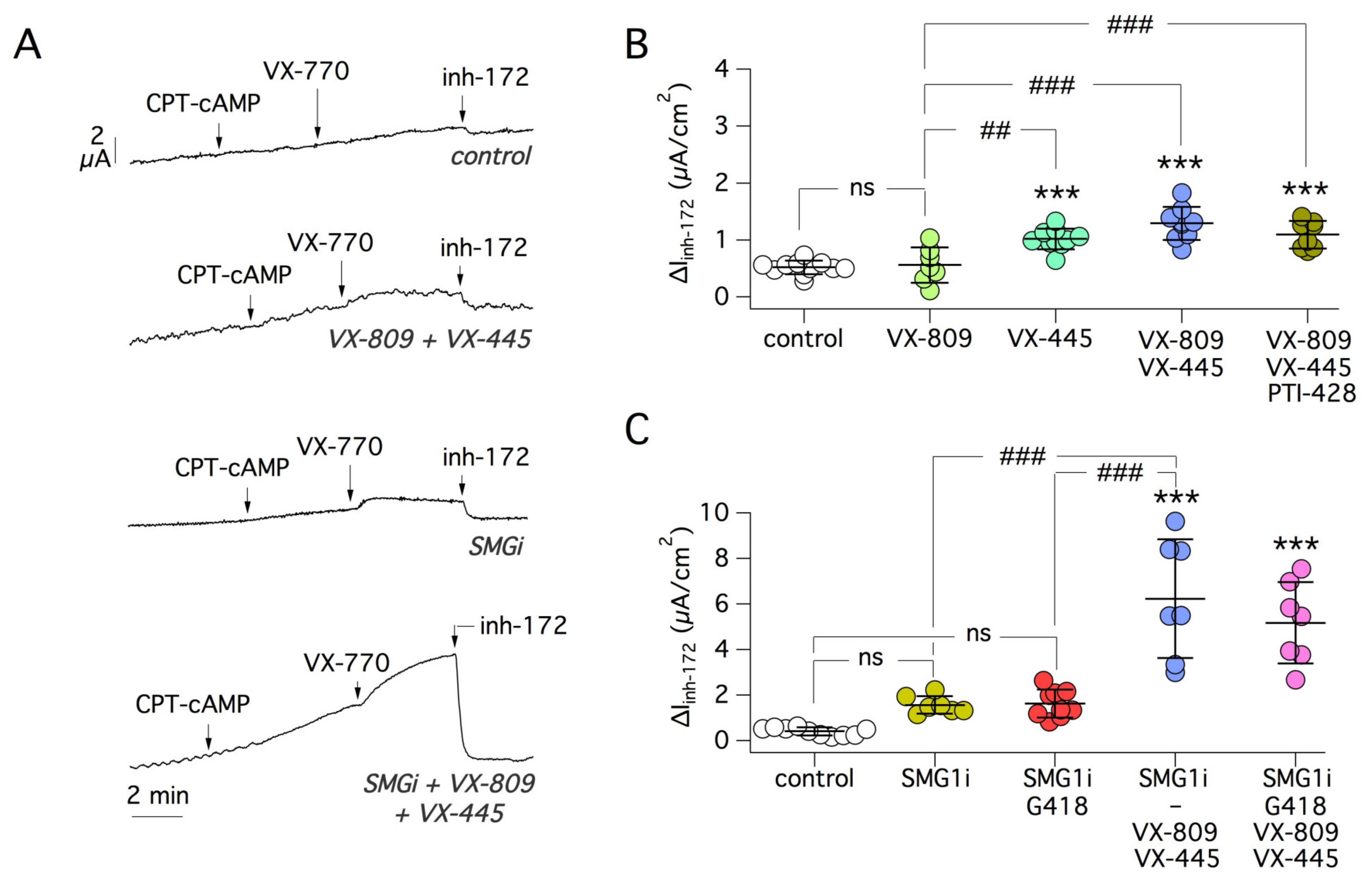 Ijms 22 11972 g007 550